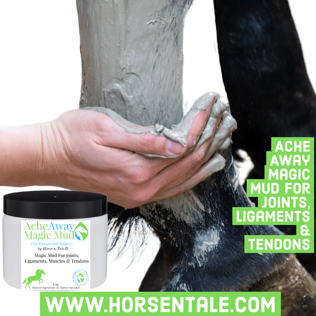 Magic Mud for Horses, Horse liniment, horse rub, liniment gel, horse liniment gel, horse liniment gel for humans, veterinary liniment gel, veterinary liniment, muscle rub for horses, horse gel for pain, best horse liniment for humans, horse liniment for human use, horse post exercise rub, horse exercise rub, horse pre exercise rub, horse muscle rub, horse rub for sore joints, horse rub for sore muscles, equine leg and muscle rub, equine muscle rub, horse rub for humans, sore muscle rub for horses, horse oil muscle rub, horse rub for pain, liniment rub for horses, pain rub for horses, horse joint rub, Horse N Tale rub, Horse N Tale Horse Rub, pre and post exercise rub, Ache Away, equine liniment rub, post workout rub, pre workout rub, Equine exercise liniment rub, Post exercise liniment rub, double action rub, warming and cooling effect, all natural ingredients, natural ingredients as nature intended, Horse N Tale Ache Away, Horse N Tale liniment gel, horse n tale rub, pre and post workout rub, gel, pre and post workout gel, double action liniment gel rub, double action rub, double action liniment, double action, double action gel, horse liniment gel, horse liniment, Ache Away horse liniment, Ache Away horse liniment gel, liniment spray, horse liniment spray, Horse Liniment Ache Away, Ache Away Horse Liniment, Horse Liniment Ache Away, Natural Horse Care, Horse N Tale, Topical Equine Products, Horse n tale Topical Equine Products Natural Horse Care for Equine Athletes, Horse N Tale, Horse n Tale Topical Equine Products, topical equine products, natural horse care, Horse products, Horse n tale, topical equine products, natural horse care, horse products, horse supplies, topical equine products, natural products, botanical products, Horse N Tale, Horse n Tale Topical Equine Products, topical equine products, natural horse care, horse supplies, Horse products, Natural horse care, natural horse care store, horse n tale topical equine products, natural horse for equine athletes, equine athlete, equine athletes, Horse N Tale, Horse n Tale Topical Equine Products, topical equine products, natural horse care, horse supplies, Horse products, Horse n tale, topical equine products, natural horse care, horse products, horse supplies, topical equine products, natural products, botanical products, Horse N Tale, Horse n Tale Topical Equine Products, topical equine products, natural horse care, horse supplies, Horse products, natural ingredients, natural ingredients as nature intended, Equine aromatherapy, aromatic, aromatherapy, holistic, holistic products, equine holistic products, Equine aromatherapy, aromatic, aromatherapy, Horse n Tale, Natural Horse Care, Horse N Tale, Topical Equine Products, Horse n tale Topical Equine Products Natural Horse Care for Equine Athletes, Horse N Tale, Horse n Tale Topical Equine Products, topical equine products, natural horse care, Horse products, Horse n tale, topical equine products, natural horse care, horse products, horse supplies, topical equine products, natural products, botanical products, Horse N Tale, Horse n Tale Topical Equine Products, topical equine products, natural horse care, horse supplies, Horse products, Natural horse care, natural horse care store, horse n tale topical equine products, natural horse for equine athletes, equine athlete, equine athletes, Horse N Tale, Horse n Tale Topical Equine Products, topical equine products, natural horse care, horse supplies, Horse products, Horse n tale, topical equine products, natural horse care, horse products, horse supplies, topical equine products, natural products, botanical products, Horse N Tale, Horse n Tale Topical Equine Products, topical equine products, natural horse care, horse supplies, Horse products, natural ingredients, natural ingredients as nature intended, holistic, holistic products, equine holistic products, Horse N Tale, Horse n Tale Topical Equine Products, topical equine products, natural horse care, horse supplies, Horse products, Horse n tale, topical equine products, natural horse care, horse products, horse supplies, topical equine products, natural products, botanical products, Horse N Tale, Horse n Tale Topical Equine Products, topical equine products, natural horse care, horse supplies, Horse products, Behavior Balance Ez , Equine Behavior, Equine Behavior Product, horse behavior Buddy Ez , Equine Behavior, Equine Behavior Product, horse behavior Calm Eez, Equine Behavior, Equine Behavior Product, horse behavior Confidence Ez, Equine Behavior, Equine Behavior Product Moodz, Equine Behavior, Equine Behavior Product, moody mare, moody mare product Stubborn Ez, Equine Behavior, Equine Behavior Product, equine behavior, equine behavior modification, equine behavior problems, equine behavior products, mood mare, moodz moody mare, horse confidence, horse balance, calming a horse, buddy sour, buddy sour horses, sibra, SIBRA, Southern Idaho Barrel Racing Association, Horse N Tale, Horse n Tale Topical Equine Products, topical equine products, natural horse care, horse supplies, Horse products, Horse n tale, topical equine products, natural horse care, horse products, horse supplies, topical equine products, natural products, botanical products, Horse N Tale, Horse n Tale Topical Equine Products, topical equine products, natural horse care, horse supplies, Horse products, natural ingredients, natural ingredients as nature intended, natural equine products, Barrel Horse, Horse N Tale SIBRA Easter Giveaway, Horse N Tale SIBRA Easter Giveaway, barrel horse, barrel horse riders, barrel racing, sibra, Horse N Tale, Horse n Tale Topical Equine Products, topical equine products, natural horse care, Horse products, Horse n tale, topical equine products, natural horse care, horse products, horse supplies, topical equine products, natural products, botanical products, Horse N Tale, Horse n Tale Topical Equine Products, topical equine products, natural horse care, horse supplies, Horse products, Natural horse care, natural horse care store, horse n tale topical equine products, natural horse for equine athletes, equine athlete, equine athletes, Ache Away horse liniment, Ache Away horse liniment gel, Ache Away, Horse liniment, Natural Horse Care News, Natural Horse, Horse N Tale, Horse n Tale Topical Equine Products, topical equine products, natural horse care, horse supplies, Horse products, Horse n tale, topical equine products, natural horse care, horse products, horse supplies, topical equine products, natural products, botanical products, Horse N Tale, Horse n Tale Topical Equine Products, topical equine products, natural horse care, horse supplies, Horse products, natural ingredients, natural ingredients as nature intended, natural equine products, Grooming, grooming products, horse products, horse grooming, horse grooming products, horse products, horse n tale, horse n tale topical equine products, topical equine products, natural horse care, equine shampoo, horse shampoo, shampoo, Wash eez Equine Shampoo, equine shampoo, wash eez, equine conditioner, grooming, grooming products, horse products, horse n tale, horse n tale topical equine products, topical equine products, natural horse care, Horse N Tale, Horse n Tale Topical Equine Products, topical equine products, natural horse care, horse supplies, Horse products, Horse n tale, topical equine products, natural horse care, horse products, horse supplies, topical equine products, natural products, botanical products, Horse N Tale, Horse n Tale Topical Equine Products, topical equine products, natural horse care, horse supplies, Horse products, natural ingredients, natural ingredients as nature intended, natural equine products, , horse shampoo, Equine Shampoo and Conditioner, Horse N Tale, Horse n Tale Topical Equine Products, topical equine products, natural horse care, horse supplies, Horse products, Horse n tale, topical equine products, natural horse care, horse products, horse supplies, topical equine products, natural products, botanical products, Horse N Tale, Horse n Tale Topical Equine Products, topical equine products, natural horse care, horse supplies, Horse products, natural ingredients, natural ingredients as nature intended Arthritis, Arthritis Ez, Arthritis Pain, Equine Arthritis, Pain Relief, Equine arthritis Pain, Equine Arthritis Product, equine pain, equine arthritis pain, pain ez, horse n tale pain ez, equine pain product, equine arthritis pain, equine arthritis pain product, Muscle relief, equine muscle, equine muscle rub, equine muscle pain, sore muscles, muscle pain, muscle product, Joint Ez, Joint Pain, Equine Joints, Pain Relief, Equine Joint Pain, Equine Joint Product, Pain Ez, Pain Relief, Equine Pain, Equine Pain Relief, Equine Pain Product, painez horse rub, liniment gel, horse liniment gel, horse liniment gel for humans, veterinary liniment gel, veterinary liniment, muscle rub for horses, horse gel for pain, best horse liniment for humans, horse liniment for human use, horse post exercise rub, horse exercise rub, horse pre exercise rub, horse muscle rub, horse rub for sore joints, horse rub for sore muscles, equine leg and muscle rub, equine muscle rub, horse rub for humans, sore muscle rub for horses, horse oil muscle rub, horse rub for pain, liniment rub for horses, pain rub for horses, horse joint rub, Horse N Tale rub, Horse N Tale Horse Rub, pre and post exercise rub, Ache Away, equine liniment rub, post workout rub, pre workout rub, Equine exercise liniment rub, Post exercise liniment rub, double action rub, warming and cooling effect, all natural ingredients, natural ingredients as nature intended, Horse N Tale Ache Away, Horse N Tale liniment gel, horse n tale rub, pre and post workout rub, gel, pre and post workout gel, double action liniment gel rub, double action rub, double action liniment, double action, double action gel, horse liniment gel, horse liniment,Ache Away Magic Mud, horse mud, mud horse, Indian mud for horses, mud for horses, horse poultice, poultice pads for horses, epsom salt poultice for horses, ice tight poultice, icetight poultice, poultice pads for horses, poultice wrap for horses, poultice horse leg, clay poultice for horses, best poultice for horses, equine poultice, kaolin poultice for horses, icetight, drawing poultice for horses, best horse poultice, clay poultice, kaolin poultice, bentonite clay poultice, clay poultice for inflammation, kaolin clay poultice, bentonite poultice, magic mud clay, magic mud, magic mud clay, ache away magic mud, muscle mud for horses, horse mud for pain, horse post exercise mud, horse exercise mud, horse muscle mud, horse mud for sore joints, horse mud for sore muscles, equine leg and muscle mud, equine muscle mud, sore muscle mud for horses, horse oil muscle mud, horse mud for pain, magic mud for horses, pain mud for horses, horse joint mud, Horse N Tale magic mud, Horse N Tale Horse mud, post exercise magic mud, Ache Away, Ache away magic mud, Horse N Tale Ache Away Magic Mud, equine magic mud, post workout mud, post workout magic mud, Equine exercise magic mud, Post exercise magic mud, all natural ingredients, natural ingredients as nature intended, Horse N Tale Ache Away, Horse N Tale Magic Mud, horse n tale magic mud, post workout magic mud, mud, post workout mud, horse magic mud, horse mud, Ache Away horse mud, Ache Away Magic Mud, Ache Away horse Magic Mud, Horse N Tale, Topical Equine Products, Horse n tale Topical Equine Products Natural Horse Care for Equine Athletes, Horse N Tale, Horse n Tale Topical Equine Products, topical equine products, natural horse care, Horse products, Horse n tale, topical equine products, natural horse care, horse products, horse supplies, topical equine products, natural products, botanical products, Horse N Tale, Horse n Tale Topical Equine Products, topical equine products, natural horse care, horse supplies, Horse products, Natural horse care, natural horse care store, horse n tale topical equine products, natural horse for equine athletes, equine athlete, equine athletes, Horse N Tale, Horse n Tale Topical Equine Products, topical equine products, natural horse care, horse supplies, Horse products, Horse n tale, topical equine products, natural horse care, horse products, horse supplies, topical equine products, natural products, botanical products, Horse N Tale, Horse n Tale Topical Equine Products, topical equine products, natural horse care, horse supplies, Horse products, natural ingredients, natural ingredients as nature intended, Equine aromatherapy, aromatic, aromatherapy, holistic, holistic products, equine holistic products, Equine aromatherapy, aromatic, aromatherapy, Horse n Tale, Natural Horse Care, Horse N Tale, Topical Equine Products, Horse n tale Topical Equine Products Natural Horse Care for Equine Athletes, Horse N Tale, Horse n Tale Topical Equine Products, topical equine products, natural horse care, Horse products, Horse n tale, topical equine products, natural horse care, horse products, horse supplies, topical equine products, natural products, botanical products, Horse N Tale, Horse n Tale Topical Equine Products, topical equine products, natural horse care, horse supplies, Horse products, Natural horse care, natural horse care store, horse n tale topical equine products, natural horse for equine athletes, equine athlete, equine athletes, Horse N Tale, Horse n Tale Topical Equine Products, topical equine products, natural horse care, horse supplies, Horse products, Horse n tale, topical equine products, natural horse care, horse products, horse supplies, topical equine products, natural products, botanical products, Horse N Tale, Horse n Tale Topical Equine Products, topical equine products, natural horse care, horse supplies, Horse products, natural ingredients, natural ingredients as nature intended, holistic, holistic products, equine holistic products, Horse N Tale, Horse n Tale Topical Equine Products, topical equine products, natural horse care, horse supplies, Horse products, Horse n tale, topical equine products, natural horse care, horse products, horse supplies, topical equine products, natural products, botanical products, Horse N Tale, Horse n Tale Topical Equine Products, topical equine products, natural horse care, horse supplies, Horse products, Behavior Balance Ez , Equine Behavior, Equine Behavior Product, horse behavior Buddy Ez , Equine Behavior, Equine Behavior Product, horse behavior Calm Eez, Equine Behavior, Equine Behavior Product, horse behavior Confidence Ez, Equine Behavior, Equine Behavior Product Moodz, Equine Behavior, Equine Behavior Product, moody mare, moody mare product Stubborn Ez, Equine Behavior, Equine Behavior Product, equine behavior, equine behavior modification, equine behavior problems, equine behavior products, mood mare, moodz moody mare, horse confidence, horse balance, calming a horse, buddy sour, buddy sour horses, sibra, SIBRA, Southern Idaho Barrel Racing Association, Horse N Tale, Horse n Tale Topical Equine Products, topical equine products, natural horse care, horse supplies, Horse products, Horse n tale, topical equine products, natural horse care, horse products, horse supplies, topical equine products, natural products, botanical products, Horse N Tale, Horse n Tale Topical Equine Products, topical equine products, natural horse care, horse supplies, Horse products, natural ingredients, natural ingredients as nature intended, natural equine products, Barrel Horse, Horse N Tale SIBRA Easter Giveaway, Horse N Tale SIBRA Easter Giveaway, barrel horse, barrel horse riders, barrel racing, sibra, Horse N Tale, Horse n Tale Topical Equine Products, topical equine products, natural horse care, Horse products, Horse n tale, topical equine products, natural horse care, horse products, horse supplies, topical equine products, natural products, botanical products, Horse N Tale, Horse n Tale Topical Equine Products, topical equine products, natural horse care, horse supplies, Horse products, Natural horse care, natural horse care store, horse n tale topical equine products, natural horse for equine athletes, equine athlete, equine athletes, Ache Away horse liniment, Ache Away horse liniment gel, Ache Away, Horse liniment, Natural Horse Care News, Natural Horse, Horse N Tale, Horse n Tale Topical Equine Products, topical equine products, natural horse care, horse supplies, Horse products, Horse n tale, topical equine products, natural horse care, horse products, horse supplies, topical equine products, natural products, botanical products, Horse N Tale, Horse n Tale Topical Equine Products, topical equine products, natural horse care, horse supplies, Horse products, natural ingredients, natural ingredients as nature intended, natural equine products, Grooming, grooming products, horse products, horse grooming, horse grooming products, horse products, horse n tale, horse n tale topical equine products, topical equine products, natural horse care, equine shampoo, horse shampoo, shampoo, Wash eez Equine Shampoo, equine shampoo, wash eez, equine conditioner, grooming, grooming products, horse products, horse n tale, horse n tale topical equine products, topical equine products, natural horse care, Horse N Tale, Horse n Tale Topical Equine Products, topical equine products, natural horse care, horse supplies, Horse products, Horse n tale, topical equine products, natural horse care, horse products, horse supplies, topical equine products, natural products, botanical products, Horse N Tale, Horse n Tale Topical Equine Products, topical equine products, natural horse care, horse supplies, Horse products, natural ingredients, natural ingredients as nature intended, natural equine products, , horse shampoo, Equine Shampoo and Conditioner, Horse N Tale, Horse n Tale Topical Equine Products, topical equine products, natural horse care, horse supplies, Horse products, Horse n tale, topical equine products, natural horse care, horse products, horse supplies, topical equine products, natural products, botanical products, Horse N Tale, Horse n Tale Topical Equine Products, topical equine products, natural horse care, horse supplies, Horse products, natural ingredients, natural ingredients as nature intended Arthritis, Arthritis Ez, Arthritis Pain, Equine Arthritis, Pain Relief, Equine arthritis Pain, Equine Arthritis Product, equine pain, equine arthritis pain, pain ez, horse n tale pain ez, equine pain product, equine arthritis pain, equine arthritis pain product, Muscle relief, equine muscle, equine muscle rub, equine muscle pain, sore muscles, muscle pain, muscle product, Joint Ez, Joint Pain, Equine Joints, Pain Relief, Equine Joint Pain, Equine Joint Product, Pain Ez, Pain Relief, Equine Pain, Equine Pain Relief, Equine Pain Product, painez
