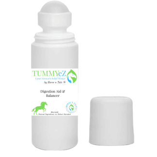 TummyEZ, TummyEz Winter, Tummy Ez, Tummy Ez Summer, horse digestive system, horse digestive system product, horse digestive system products, Stomach upset, digestive balance, equine digestive system, equine stomach problems, horse stomach, horse stomach problems, horse digestive system problems, minor upset stomach, minor upset stomachs Horse N Tale Tummy Ez digestive aid, Digestive Aid, Tummy Ez digestive aid, Tummy Ez, stomach upset, digestive system, equine stomach upset, equine digestive system, equine product, equine tummy upset, tummy upset, horse n tale tummy ez, Horse N Tale, Tummy Ez, Stomach upset, digestive balance, equine digestive system, equine stomach problems, horse stomach, horse stomach problems, horse digestive system problems, minor upset stomach, minor upset stomachs, horse n tale tummy ez, TummyEZ, Tummy Ez, Tummy Ez Summer, TummyEZ, Tummy Ez, Tummy Ez Winter, horse digestive system, horse digestive system product, horse digestive system products, Stomach upset, digestive balance, equine digestive system, equine stomach problems, horse stomach, horse stomach problems, horse digestive system problems, minor upset stomach, minor upset stomachs Horse N Tale Tummy Ez digestive aid, Digestive Aid, Tummy Ez digestive aid, Tummy Ez, stomach upset, digestive system, equine stomach upset, equine digestive system, equine product, equine tummy upset, tummy upset, horse n tale tummy ez, Horse N Tale, Tummy Ez, Stomach upset, digestive balance, equine digestive system, equine stomach problems, horse stomach, horse stomach problems, horse digestive system problems, minor upset stomach, minor upset stomachs, horse n tale tummy ez, TummyEZ, Tummy Ez, Tummy Ez Winter, horse digestive system, horse digestive system product, horse digestive system products, Stomach upset, digestive balance, equine digestive system, equine stomach problems, horse stomach, horse stomach problems, horse digestive system problems, minor upset stomach, minor upset stomachs Horse N Tale Tummy Ez digestive aid, Digestive Aid, Tummy Ez digestive aid, Tummy Ez, stomach upset, digestive system, equine stomach upset, equine digestive system, equine product, equine tummy upset, tummy upset, horse n tale tummy ez, Horse N Tale, Tummy Ez, Stomach upset, digestive balance, equine digestive system, equine stomach problems, horse stomach, horse stomach problems, horse digestive system problems, minor upset stomach, minor upset stomachs, horse n tale tummy ez, horse digestive system, Horse Stomach Ache, Natural horse care, natural horse care store, Horse N Tale, Horse n Tale Topical Equine Products, topical equine products, natural horse care, horse supplies, Horse products, Horse n tale, topical equine products, natural horse care, horse products, horse supplies, topical equine products, natural products, botanical products, Horse N Tale, Horse n Tale Topical Equine Products, topical equine products, natural horse care, horse supplies, Horse products, natural ingredients, natural ingredients as nature intended, natural horse care, natural horse care product, natural horse care products, Tummy Ez, stomach upset, digestive system, equine stomach upset, equine digestive system, equine product, equine tummy upset, tummy upset, horse n tale tummy ez, Horse N Tale, tummy ez summer and winter, horse digestive system product, horse digestive system products, horse digestive system, Equine Digestive System, equine digestive system, Horse N Tale, Horse n Tale Topical Equine Products, topical equine products, natural horse care, horse supplies, Horse products, Horse n tale, topical equine products, natural horse care, horse products, horse supplies, topical equine products, natural products, botanical products, Horse N Tale, Horse n Tale Topical Equine Products, topical equine products, natural horse care, horse supplies, Horse products, natural ingredients, natural ingredients as nature intended, Stomach upset, digestive balance, equine digestive system, equine stomach problems, horse stomach, horse stomach problems, horse digestive system problems, minor upset stomach, minor upset stomachs Horse N Tale Tummy Ez digestive aid, Digestive Aid, Tummy Ez digestive aid, Tummy Ez, stomach upset, digestive system, equine stomach upset, equine digestive system, equine product, equine tummy upset, tummy upset, horse n tale tummy ez, Horse N Tale, Tummy Ez, Stomach upset, digestive balance, equine digestive system, equine stomach problems, horse stomach, horse stomach problems, horse digestive system problems, minor upset stomach, minor upset stomachs, horse n tale tummy ez, equine stomach and digestive system, Stomach, digestive system, equine stomach upset, stomach upset, equine digestive system, belly ache, belly upset, equine, horse, horse stomach, horse digestive system, Natural horse care, natural horse care store, Horse N Tale, Horse n Tale Topical Equine Products, topical equine products, natural horse care, horse supplies, Horse products, Horse n tale, topical equine products, natural horse care, horse products, horse supplies, topical equine products, natural products, botanical products, Horse N Tale, Horse n Tale Topical Equine Products, topical equine products, natural horse care, horse supplies, Horse products, natural ingredients, natural ingredients as nature intended, natural horse care, natural horse care product, natural horse care products, Tummy Ez, stomach upset, digestive system, equine stomach upset, equine digestive system, equine product, equine tummy upset, tummy upset, horse n tale tummy ez, Horse N Tale, tummy ez summer and winter, horse digestive system product, horse digestive system products, horse digestive system, Equine Digestive System, equine digestive system, Horse N Tale, Horse n Tale Topical Equine Products, topical equine products, natural horse care, horse supplies, Horse products, Horse n tale, topical equine products, natural horse care, horse products, horse supplies, topical equine products, natural products, botanical products, Horse N Tale, Horse n Tale Topical Equine Products, topical equine products, natural horse care, horse supplies, Horse products, natural ingredients, natural ingredients as nature intended, Stomach upset, digestive balance, equine digestive system, equine stomach problems, horse stomach, horse stomach problems, horse digestive system problems, minor upset stomach, minor upset stomachs Horse N Tale Tummy Ez digestive aid, Digestive Aid, Tummy Ez digestive aid, Tummy Ez, stomach upset, digestive system, equine stomach upset, equine digestive system, equine product, equine tummy upset, tummy upset, horse n tale tummy ez, Horse N Tale, Tummy Ez, Stomach upset, digestive balance, equine digestive system, equine stomach problems, horse stomach, horse stomach problems, horse digestive system problems, minor upset stomach, minor upset stomachs, horse n tale tummy ez, equine stomach and digestive system, Stomach, digestive system, equine stomach upset, stomach upset, equine digestive system, belly ache, belly upset, equine, horse, horse stomach, horse digestive system, Horse Stomach Ache, Natural horse care, natural horse care store, Horse N Tale, Horse n Tale Topical Equine Products, topical equine products, natural horse care, horse supplies, Horse products, Horse n tale, topical equine products, natural horse care, horse products, horse supplies, topical equine products, natural products, botanical products, Horse N Tale, Horse n Tale Topical Equine Products, topical equine products, natural horse care, horse supplies, Horse products, natural ingredients, natural ingredients as nature intended, natural horse care, natural horse care product, natural horse care products, Tummy Ez, stomach upset, digestive system, equine stomach upset, equine digestive system, equine product, equine tummy upset, tummy upset, horse n tale tummy ez, Horse N Tale, tummy ez summer and winter, horse digestive system product, horse digestive system products, horse digestive system, Equine Digestive System, equine digestive system, Horse N Tale, Horse n Tale Topical Equine Products, topical equine products, natural horse care, horse supplies, Horse products, Horse n tale, topical equine products, natural horse care, horse products, horse supplies, topical equine products, natural products, botanical products, Horse N Tale, Horse n Tale Topical Equine Products, topical equine products, natural horse care, horse supplies, Horse products, natural ingredients, natural ingredients as nature intended, Stomach upset, digestive balance, equine digestive system, equine stomach problems, horse stomach, horse stomach problems, horse digestive system problems, minor upset stomach, minor upset stomachs Horse N Tale Tummy Ez digestive aid, Digestive Aid, Tummy Ez digestive aid, Tummy Ez, stomach upset, digestive system, equine stomach upset, equine digestive system, equine product, equine tummy upset, tummy upset, horse n tale tummy ez, Horse N Tale, Tummy Ez, Stomach upset, digestive balance, equine digestive system, equine stomach problems, horse stomach, horse stomach problems, horse digestive system problems, minor upset stomach, minor upset stomachs, horse n tale tummy ez, equine stomach and digestive system, Stomach, digestive system, equine stomach upset, stomach upset, equine digestive system, belly ache, belly upset, equine, horse, horse stomach, horse digestive system, Natural horse care, natural horse care store, Horse N Tale, Horse n Tale Topical Equine Products, topical equine products, natural horse care, horse supplies, Horse products, Horse n tale, topical equine products, natural horse care, horse products, horse supplies, topical equine products, natural products, botanical products, Horse N Tale, Horse n Tale Topical Equine Products, topical equine products, natural horse care, horse supplies, Horse products, natural ingredients, natural ingredients as nature intended, natural horse care, natural horse care product, natural horse care products, Tummy Ez, stomach upset, digestive system, equine stomach upset, equine digestive system, equine product, equine tummy upset, tummy upset, horse n tale tummy ez, Horse N Tale, tummy ez summer and winter, horse digestive system product, horse digestive system products, horse digestive system, Equine Digestive System, equine digestive system, Horse N Tale, Horse n Tale Topical Equine Products, topical equine products, natural horse care, horse supplies, Horse products, Horse n tale, topical equine products, natural horse care, horse products, horse supplies, topical equine products, natural products, botanical products, Horse N Tale, Horse n Tale Topical Equine Products, topical equine products, natural horse care, horse supplies, Horse products, natural ingredients, natural ingredients as nature intended, Stomach upset, digestive balance, equine digestive system, equine stomach problems, horse stomach, horse stomach problems, horse digestive system problems, minor upset stomach, minor upset stomachs Horse N Tale Tummy Ez digestive aid, Digestive Aid, Tummy Ez digestive aid, Tummy Ez, stomach upset, digestive system, equine stomach upset, equine digestive system, equine product, equine tummy upset, tummy upset, horse n tale tummy ez, Horse N Tale, Tummy Ez, Stomach upset, digestive balance, equine digestive system, equine stomach problems, horse stomach, horse stomach problems, horse digestive system problems, minor upset stomach, minor upset stomachs, horse n tale tummy ez, equine stomach and digestive system, Stomach, digestive system, equine stomach upset, stomach upset, equine digestive system, belly ache, belly upset, equine, horse, horse stomach, horse digestive system, horse digestive system product, horse digestive system products, horse digestive system, Equine Digestive System, equine digestive system, Horse N Tale, Horse n Tale Topical Equine Products, topical equine products, natural horse care, horse supplies, Horse products, Horse n tale, topical equine products, natural horse care, horse products, horse supplies, topical equine products, natural products, botanical products, Horse N Tale, Horse n Tale Topical Equine Products, topical equine products, natural horse care, horse supplies, Horse products, natural ingredients, natural ingredients as nature intended, Stomach upset, digestive balance, equine digestive system, equine stomach problems, horse stomach, horse stomach problems, horse digestive system problems, minor upset stomach, minor upset stomachs Horse N Tale Tummy Ez digestive aid, Digestive Aid, Tummy Ez digestive aid, Tummy Ez, stomach upset, digestive system, equine stomach upset, equine digestive system, equine product, equine tummy upset, tummy upset, horse n tale tummy ez, Horse N Tale, Tummy Ez, Stomach upset, digestive balance, equine digestive system, equine stomach problems, horse stomach, horse stomach problems, horse digestive system problems, minor upset stomach, minor upset stomachs, horse n tale tummy ez, equine stomach and digestive system, Stomach, digestive system, equine stomach upset, stomach upset, equine digestive system, belly ache, belly upset, equine, horse, horse stomach, horse digestive system, horse digestive system, Stomach upset, digestive balance, equine digestive system, equine stomach problems, horse stomach, horse stomach problems, horse digestive system problems, minor upset stomach, minor upset stomachs, horse digestive system, horse digestive problems, horse digestion system problems, horse upset stomach, horse stomach pain, horse stomach ache, horse tummy ache Horse N Tale Tummy Ez digestive aid, Digestive Aid, Tummy Ez digestive aid, Tummy Ez, stomach upset, digestive system, equine stomach upset, equine digestive system, equine product, equine tummy upset, tummy upset, horse n tale tummy ez, Horse N Tale, Tummy Ez, Stomach upset, digestive balance, equine digestive system, equine stomach problems, horse stomach, horse stomach problems, horse digestive system problems, minor upset stomach, minor upset stomachs, horse n tale tummy ez, horse digestive system product, horse digestive system products, horse digestive system, Equine Digestive System, equine digestive system, Horse N Tale, Horse n Tale Topical Equine Products, topical equine products, natural horse care, horse supplies, Horse products, Horse n tale, topical equine products, natural horse care, horse products, horse supplies, topical equine products, natural products, botanical products, Horse N Tale, Horse n Tale Topical Equine Products, topical equine products, natural horse care, horse supplies, Horse products, natural ingredients, natural ingredients as nature intended, Stomach upset, digestive balance, equine digestive system, equine stomach problems, horse stomach, horse stomach problems, horse digestive system problems, minor upset stomach, minor upset stomachs Horse N Tale Tummy Ez digestive aid, Digestive Aid, Tummy Ez digestive aid, Tummy Ez, stomach upset, digestive system, equine stomach upset, equine digestive system, equine product, equine tummy upset, tummy upset, horse n tale tummy ez, Horse N Tale, Tummy Ez, Stomach upset, digestive balance, equine digestive system, equine stomach problems, horse stomach, horse stomach problems, horse digestive system problems, minor upset stomach, minor upset stomachs, horse n tale tummy ez, equine stomach and digestive system, Stomach, digestive system, equine stomach upset, stomach upset, equine digestive system, belly ache, belly upset, equine, horse, horse stomach, horse digestive system, upset stomach relief, Natural horse care, natural horse care store, Horse N Tale, Horse n Tale Topical Equine Products, topical equine products, natural horse care, horse supplies, Horse products, Horse n tale, topical equine products, natural horse care, horse products, horse supplies, topical equine products, natural products, botanical products, Horse N Tale, Horse n Tale Topical Equine Products, topical equine products, natural horse care, horse supplies, Horse products, natural ingredients, natural ingredients as nature intended, natural horse care, natural horse care product, natural horse care products, Tummy Ez, stomach upset, digestive system, equine stomach upset, equine digestive system, equine product, equine tummy upset, tummy upset, horse n tale tummy ez, Horse N Tale, tummy ez summer and winter, horse digestive system product, horse digestive system products, horse digestive system, Equine Digestive System, equine digestive system, Horse N Tale, Horse n Tale Topical Equine Products, topical equine products, natural horse care, horse supplies, Horse products, Horse n tale, topical equine products, natural horse care, horse products, horse supplies, topical equine products, natural products, botanical products, Horse N Tale, Horse n Tale Topical Equine Products, topical equine products, natural horse care, horse supplies, Horse products, natural ingredients, natural ingredients as nature intended, Stomach upset, digestive balance, equine digestive system, equine stomach problems, horse stomach, horse stomach problems, horse digestive system problems, minor upset stomach, minor upset stomachs Horse N Tale Tummy Ez digestive aid, Digestive Aid, Tummy Ez digestive aid, Tummy Ez, stomach upset, digestive system, equine stomach upset, equine digestive system, equine product, equine tummy upset, tummy upset, horse n tale tummy ez, Horse N Tale, Tummy Ez, Stomach upset, digestive balance, equine digestive system, equine stomach problems, horse stomach, horse stomach problems, horse digestive system problems, minor upset stomach, minor upset stomachs, horse n tale tummy ez, equine stomach and digestive system, Stomach, digestive system, equine stomach upset, stomach upset, equine digestive system, belly ache, belly upset, equine, horse, horse stomach, horse digestive system, horse digestive system, Stomach upset, digestive balance, equine digestive system, equine stomach problems, horse stomach, horse stomach problems, horse digestive system problems, minor upset stomach, minor upset stomachs, horse digestive system, horse digestive problems, horse digestion system problems, horse upset stomach, horse stomach pain, horse stomach ache, horse tummy ache Horse N Tale Tummy Ez digestive aid, Digestive Aid, Tummy Ez digestive aid, Tummy Ez, stomach upset, digestive system, equine stomach upset, equine digestive system, equine product, equine tummy upset, tummy upset, horse n tale tummy ez, Horse N Tale, Tummy Ez, Stomach upset, digestive balance, equine digestive system, equine stomach problems, horse stomach, horse stomach problems, horse digestive system problems, minor upset stomach, minor upset stomachs, horse n tale tummy ez, Horse Stomach Ache, Natural horse care, natural horse care store, Horse N Tale, Horse n Tale Topical Equine Products, topical equine products, natural horse care, horse supplies, Horse products, Horse n tale, topical equine products, natural horse care, horse products, horse supplies, topical equine products, natural products, botanical products, Horse N Tale, Horse n Tale Topical Equine Products, topical equine products, natural horse care, horse supplies, Horse products, natural ingredients, natural ingredients as nature intended, natural horse care, natural horse care product, natural horse care products, Tummy Ez, stomach upset, digestive system, equine stomach upset, equine digestive system, equine product, equine tummy upset, tummy upset, horse n tale tummy ez, Horse N Tale, tummy ez summer and winter, horse digestive system product, horse digestive system products, horse digestive system, Equine Digestive System, equine digestive system, Horse N Tale, Horse n Tale Topical Equine Products, topical equine products, natural horse care, horse supplies, Horse products, Horse n tale, topical equine products, natural horse care, horse products, horse supplies, topical equine products, natural products, botanical products, Horse N Tale, Horse n Tale Topical Equine Products, topical equine products, natural horse care, horse supplies, Horse products, natural ingredients, natural ingredients as nature intended, Stomach upset, digestive balance, equine digestive system, equine stomach problems, horse stomach, horse stomach problems, horse digestive system problems, minor upset stomach, minor upset stomachs Horse N Tale Tummy Ez digestive aid, Digestive Aid, Tummy Ez digestive aid, Tummy Ez, stomach upset, digestive system, equine stomach upset, equine digestive system, equine product, equine tummy upset, tummy upset, horse n tale tummy ez, Horse N Tale, Tummy Ez, Stomach upset, digestive balance, equine digestive system, equine stomach problems, horse stomach, horse stomach problems, horse digestive system problems, minor upset stomach, minor upset stomachs, horse n tale tummy ez, equine stomach and digestive system, Stomach, digestive system, equine stomach upset, stomach upset, equine digestive system, belly ache, belly upset, equine, horse, horse stomach, horse digestive system, Upset Stomach Relief, Tummy Ez, Natural horse care, natural horse care store, Horse N Tale, Horse n Tale Topical Equine Products, topical equine products, natural horse care, horse supplies, Horse products, Horse n tale, topical equine products, natural horse care, horse products, horse supplies, topical equine products, natural products, botanical products, Horse N Tale, Horse n Tale Topical Equine Products, topical equine products, natural horse care, horse supplies, Horse products, natural ingredients, natural ingredients as nature intended, natural horse care, natural horse care product, natural horse care products, Tummy Ez, stomach upset, digestive system, equine stomach upset, equine digestive system, equine product, equine tummy upset, tummy upset, horse n tale tummy ez, Horse N Tale, tummy ez summer and winter, horse digestive system product, horse digestive system products, horse digestive system, Equine Digestive System, equine digestive system, Horse N Tale, Horse n Tale Topical Equine Products, topical equine products, natural horse care, horse supplies, Horse products, Horse n tale, topical equine products, natural horse care, horse products, horse supplies, topical equine products, natural products, botanical products, Horse N Tale, Horse n Tale Topical Equine Products, topical equine products, natural horse care, horse supplies, Horse products, natural ingredients, natural ingredients as nature intended, Stomach upset, digestive balance, equine digestive system, equine stomach problems, horse stomach, horse stomach problems, horse digestive system problems, minor upset stomach, minor upset stomachs Horse N Tale Tummy Ez digestive aid, Digestive Aid, Tummy Ez digestive aid, Tummy Ez, stomach upset, digestive system, equine stomach upset, equine digestive system, equine product, equine tummy upset, tummy upset, horse n tale tummy ez, Horse N Tale, Tummy Ez, Stomach upset, digestive balance, equine digestive system, equine stomach problems, horse stomach, horse stomach problems, horse digestive system problems, minor upset stomach, minor upset stomachs, horse n tale tummy ez, equine stomach and digestive system, Stomach, digestive system, equine stomach upset, stomach upset, equine digestive system, belly ache, belly upset, equine, horse, horse stomach, horse digestive system, Stomach upset, digestive balance, equine digestive system, equine stomach problems, horse stomach, horse stomach problems, horse digestive system problems, minor upset stomach, minor upset stomachs, horse digestive system, horse digestive problems, horse digestion system problems, horse upset stomach, horse stomach pain, horse stomach ache, horse tummy ache Horse N Tale Tummy Ez digestive aid, Digestive Aid, Tummy Ez digestive aid, Tummy Ez, stomach upset, digestive system, equine stomach upset, equine digestive system, equine product, equine tummy upset, tummy upset, horse n tale tummy ez, Horse N Tale, Tummy Ez, Stomach upset, digestive balance, equine digestive system, equine stomach problems, horse stomach, horse stomach problems, horse digestive system problems, minor upset stomach, minor upset stomachs, horse n tale tummy ez, Horse Stomach Ache, Upset Stomach Relief, Natural horse care, natural horse care store, Horse N Tale, Horse n Tale Topical Equine Products, topical equine products, natural horse care, horse supplies, Horse products, Horse n tale, topical equine products, natural horse care, horse products, horse supplies, topical equine products, natural products, botanical products, Horse N Tale, Horse n Tale Topical Equine Products, topical equine products, natural horse care, horse supplies, Horse products, natural ingredients, natural ingredients as nature intended, natural horse care, natural horse care product, natural horse care products, Tummy Ez, stomach upset, digestive system, equine stomach upset, equine digestive system, equine product, equine tummy upset, tummy upset, horse n tale tummy ez, Horse N Tale, tummy ez summer and winter, horse digestive system product, horse digestive system products, horse digestive system, Equine Digestive System, equine digestive system, Horse N Tale, Horse n Tale Topical Equine Products, topical equine products, natural horse care, horse supplies, Horse products, Horse n tale, topical equine products, natural horse care, horse products, horse supplies, topical equine products, natural products, botanical products, Horse N Tale, Horse n Tale Topical Equine Products, topical equine products, natural horse care, horse supplies, Horse products, natural ingredients, natural ingredients as nature intended, Stomach upset, digestive balance, equine digestive system, equine stomach problems, horse stomach, horse stomach problems, horse digestive system problems, minor upset stomach, minor upset stomachs Horse N Tale Tummy Ez digestive aid, Digestive Aid, Tummy Ez digestive aid, Tummy Ez, stomach upset, digestive system, equine stomach upset, equine digestive system, equine product, equine tummy upset, tummy upset, horse n tale tummy ez, Horse N Tale, Tummy Ez, Stomach upset, digestive balance, equine digestive system, equine stomach problems, horse stomach, horse stomach problems, horse digestive system problems, minor upset stomach, minor upset stomachs, horse n tale tummy ez, equine stomach and digestive system, Stomach, digestive system, equine stomach upset, stomach upset, equine digestive system, belly ache, belly upset, equine, horse, horse stomach, horse digestive system, Natural horse care, natural horse care store, Horse N Tale, Horse n Tale Topical Equine Products, topical equine products, natural horse care, horse supplies, Horse products, Horse n tale, topical equine products, natural horse care, horse products, horse supplies, topical equine products, natural products, botanical products, Horse N Tale, Horse n Tale Topical Equine Products, topical equine products, natural horse care, horse supplies, Horse products, natural ingredients, natural ingredients as nature intended, natural horse care, natural horse care product, natural horse care products, Tummy Ez, stomach upset, digestive system, equine stomach upset, equine digestive system, equine product, equine tummy upset, tummy upset, horse n tale tummy ez, Horse N Tale, tummy ez summer and winter, horse digestive system product, horse digestive system products, horse digestive system, Equine Digestive System, equine digestive system, Horse N Tale, Horse n Tale Topical Equine Products, topical equine products, natural horse care, horse supplies, Horse products, Horse n tale, topical equine products, natural horse care, horse products, horse supplies, topical equine products, natural products, botanical products, Horse N Tale, Horse n Tale Topical Equine Products, topical equine products, natural horse care, horse supplies, Horse products, natural ingredients, natural ingredients as nature intended, Stomach upset, digestive balance, equine digestive system, equine stomach problems, horse stomach, horse stomach problems, horse digestive system problems, minor upset stomach, minor upset stomachs Horse N Tale Tummy Ez digestive aid, Digestive Aid, Tummy Ez digestive aid, Tummy Ez, stomach upset, digestive system, equine stomach upset, equine digestive system, equine product, equine tummy upset, tummy upset, horse n tale tummy ez, Horse N Tale, Tummy Ez, Stomach upset, digestive balance, equine digestive system, equine stomach problems, horse stomach, horse stomach problems, horse digestive system problems, minor upset stomach, minor upset stomachs, horse n tale tummy ez, equine stomach and digestive system, Stomach, digestive system, equine stomach upset, stomach upset, equine digestive system, belly ache, belly upset, equine, horse, horse stomach, horse digestive system, Natural horse care, natural horse care store, Horse N Tale, Horse n Tale Topical Equine Products, topical equine products, natural horse care, horse supplies, Horse products, Horse n tale, topical equine products, natural horse care, horse products, horse supplies, topical equine products, natural products, botanical products, Horse N Tale, Horse n Tale Topical Equine Products, topical equine products, natural horse care, horse supplies, Horse products, natural ingredients, natural ingredients as nature intended, natural horse care, natural horse care product, natural horse care products, Tummy Ez, stomach upset, digestive system, equine stomach upset, equine digestive system, equine product, equine tummy upset, tummy upset, horse n tale tummy ez, Horse N Tale, tummy ez summer and winter, horse digestive system product, horse digestive system products, horse digestive system, Equine Digestive System, equine digestive system, Horse N Tale, Horse n Tale Topical Equine Products, topical equine products, natural horse care, horse supplies, Horse products, Horse n tale, topical equine products, natural horse care, horse products, horse supplies, topical equine products, natural products, botanical products, Horse N Tale, Horse n Tale Topical Equine Products, topical equine products, natural horse care, horse supplies, Horse products, natural ingredients, natural ingredients as nature intended, Stomach upset, digestive balance, equine digestive system, equine stomach problems, horse stomach, horse stomach problems, horse digestive system problems, minor upset stomach, minor upset stomachs Horse N Tale Tummy Ez digestive aid, Digestive Aid, Tummy Ez digestive aid, Tummy Ez, stomach upset, digestive system, equine stomach upset, equine digestive system, equine product, equine tummy upset, tummy upset, horse n tale tummy ez, Horse N Tale, Tummy Ez, Stomach upset, digestive balance, equine digestive system, equine stomach problems, horse stomach, horse stomach problems, horse digestive system problems, minor upset stomach, minor upset stomachs, horse n tale tummy ez, equine stomach and digestive system, Stomach, digestive system, equine stomach upset, stomach upset, equine digestive system, belly ache, belly upset, equine, horse, horse stomach, horse digestive system, Tummy Ez summer and winter, horse digestive system product, horse digestive system products, horse digestive system, horse digestive system product, horse digestive system products, Stomach upset, digestive balance, equine digestive system, equine stomach problems, horse stomach, horse stomach problems, horse digestive system problems, minor upset stomach, minor upset stomachs Horse N Tale Tummy Ez digestive aid, Digestive Aid, Tummy Ez digestive aid, Tummy Ez, stomach upset, digestive system, equine stomach upset, equine digestive system, equine product, equine tummy upset, tummy upset, horse n tale tummy ez, Horse N Tale, Tummy Ez, Stomach upset, digestive balance, equine digestive system, equine stomach problems, horse stomach, horse stomach problems, horse digestive system problems, minor upset stomach, minor upset stomachs, horse n tale tummy ez, Horse N Tale, Tummy Ez Winter 3oz roll on, horse digestive system product, horse digestive system products, Horse N Tale, horse digestive system, horse digestive system product, horse digestive system products, Stomach upset, digestive balance, equine digestive system, equine stomach problems, horse stomach, horse stomach problems, horse digestive system problems, minor upset stomach, minor upset stomachs Horse N Tale Tummy Ez digestive aid, Digestive Aid, Tummy Ez digestive aid, Tummy Ez, stomach upset, digestive system, equine stomach upset, equine digestive system, equine product, equine tummy upset, tummy upset, horse n tale tummy ez, Horse N Tale, Tummy Ez, Stomach upset, digestive balance, equine digestive system, equine stomach problems, horse stomach, horse stomach problems, horse digestive system problems, minor upset stomach, minor upset stomachs, horse n tale tummy ez, Horse N Tale, horse digestive system, horse digestive system product, horse digestive system products, Stomach upset, digestive balance, equine digestive system, equine stomach problems, horse stomach, horse stomach problems, horse digestive system problems, minor upset stomach, minor upset stomachs Horse N Tale Tummy Ez digestive aid, Digestive Aid, Tummy Ez digestive aid, Tummy Ez, stomach upset, digestive system, equine stomach upset, equine digestive system, equine product, equine tummy upset, tummy upset, horse n tale tummy ez, Horse N Tale, Tummy Ez, Stomach upset, digestive balance, equine digestive system, equine stomach problems, horse stomach, horse stomach problems, horse digestive system problems, minor upset stomach, minor upset stomachs, horse n tale tummy ez, Horse N Tale, Tummy Ez Summer 3oz roll on, horse digestive system product, horse digestive system products, , Stomach upset, digestive balance, equine digestive system, equine stomach problems, horse stomach, horse stomach problems, horse digestive system problems, minor upset stomach, minor upset stomachs, horse digestive system, horse digestive problems, horse digestion system problems, horse upset stomach, horse stomach pain, horse stomach ache, horse tummy ache Horse N Tale Tummy Ez digestive aid, Digestive Aid, Tummy Ez digestive aid, Tummy Ez, stomach upset, digestive system, equine stomach upset, equine digestive system, equine product, equine tummy upset, tummy upset, horse n tale tummy ez, Horse N Tale, Tummy Ez, Stomach upset, digestive balance, equine digestive system, equine stomach problems, horse stomach, horse stomach problems, horse digestive system problems, minor upset stomach, minor upset stomachs, horse n tale tummy ez, Horse Stomach Ache, Upset Stomach Relief, Natural horse care, natural horse care store, Horse N Tale, Horse n Tale Topical Equine Products, topical equine products, natural horse care, horse supplies, Horse products, Horse n tale, topical equine products, natural horse care, horse products, horse supplies, topical equine products, natural products, botanical products, Horse N Tale, Horse n Tale Topical Equine Products, topical equine products, natural horse care, horse supplies, Horse products, natural ingredients, natural ingredients as nature intended, natural horse care, natural horse care product, natural horse care products, Tummy Ez, stomach upset, digestive system, equine stomach upset, equine digestive system, equine product, equine tummy upset, tummy upset, horse n tale tummy ez, Horse N Tale, tummy ez summer and winter, horse digestive system product, horse digestive system products, horse digestive system, Equine Digestive System, equine digestive system, Horse N Tale, Horse n Tale Topical Equine Products, topical equine products, natural horse care, horse supplies, Horse products, Horse n tale, topical equine products, natural horse care, horse products, horse supplies, topical equine products, natural products, botanical products, Horse N Tale, Horse n Tale Topical Equine Products, topical equine products, natural horse care, horse supplies, Horse products, natural ingredients, natural ingredients as nature intended, Stomach upset, digestive balance, equine digestive system, equine stomach problems, horse stomach, horse stomach problems, horse digestive system problems, minor upset stomach, minor upset stomachs Horse N Tale Tummy Ez digestive aid, Digestive Aid, Tummy Ez digestive aid, Tummy Ez, stomach upset, digestive system, equine stomach upset, equine digestive system, equine product, equine tummy upset, tummy upset, horse n tale tummy ez, Horse N Tale, Tummy Ez, Stomach upset, digestive balance, equine digestive system, equine stomach problems, horse stomach, horse stomach problems, horse digestive system problems, minor upset stomach, minor upset stomachs, horse n tale tummy ez, equine stomach and digestive system, Stomach, digestive system, equine stomach upset, stomach upset, equine digestive system, belly ache, belly upset, equine, horse, horse stomach, horse digestive system, upset stomach relief, Natural horse care, natural horse care store, Horse N Tale, Horse n Tale Topical Equine Products, topical equine products, natural horse care, horse supplies, Horse products, Horse n tale, topical equine products, natural horse care, horse products, horse supplies, topical equine products, natural products, botanical products, Horse N Tale, Horse n Tale Topical Equine Products, topical equine products, natural horse care, horse supplies, Horse products, natural ingredients, natural ingredients as nature intended, natural horse care, natural horse care product, natural horse care products, Tummy Ez, stomach upset, digestive system, equine stomach upset, equine digestive system, equine product, equine tummy upset, tummy upset, horse n tale tummy ez, Horse N Tale, tummy ez summer and winter, horse digestive system product, horse digestive system products, horse digestive system, Equine Digestive System, equine digestive system, Horse N Tale, Horse n Tale Topical Equine Products, topical equine products, natural horse care, horse supplies, Horse products, Horse n tale, topical equine products, natural horse care, horse products, horse supplies, topical equine products, natural products, botanical products, Horse N Tale, Horse n Tale Topical Equine Products, topical equine products, natural horse care, horse supplies, Horse products, natural ingredients, natural ingredients as nature intended, Stomach upset, digestive balance, equine digestive system, equine stomach problems, horse stomach, horse stomach problems, horse digestive system problems, minor upset stomach, minor upset stomachs Horse N Tale Tummy Ez digestive aid, Digestive Aid, Tummy Ez digestive aid, Tummy Ez, stomach upset, digestive system, equine stomach upset, equine digestive system, equine product, equine tummy upset, tummy upset, horse n tale tummy ez, Horse N Tale, Tummy Ez, Stomach upset, digestive balance, equine digestive system, equine stomach problems, horse stomach, horse stomach problems, horse digestive system problems, minor upset stomach, minor upset stomachs, horse n tale tummy ez, equine stomach and digestive system, Stomach, digestive system, equine stomach upset, stomach upset, equine digestive system, belly ache, belly upset, equine, horse, horse stomach, horse digestive system