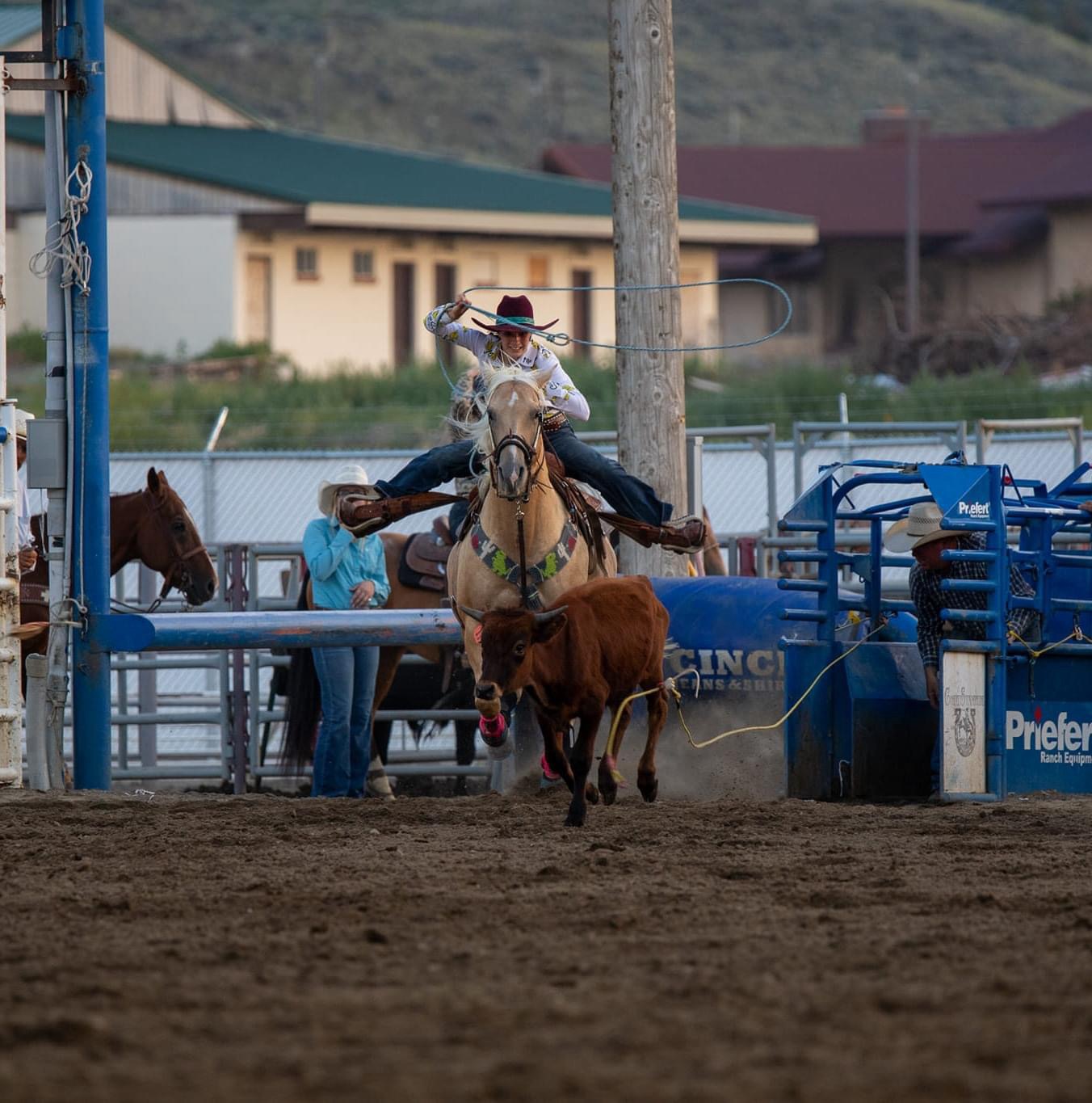 horses chewing, cribbing horse, horse behavior, horse mating behavior, horse pawing, horse pawing the ground, horse chewing wood, mare in heat behavior, horse biting other horses, equine ulcers behavior, horse behavior with humans, dominant gelding behavior, pregnant mare behavior, dangerous horse behavior, horse herd behavior, stallion behavior, understanding horse behavior, licking and chewing in horses, crib biting, aggressive horse biting, abnormal horse behavior, wild horse behavior, aggressive horse behavior, dominant mare behavior, nervous horse behavior, Equine Behavior Products, Horse behavior, equine behavior products, Behavior Balance, Equine Behavior, Equine Behavior Product, horse behavior Buddy, Equine Behavior, Equine Behavior Product, horse behavior Calm, Equine Behavior, Equine Behavior Product, horse behavior Confidence, Equine Behavior, Equine Behavior Product Moodz, Equine Behavior, Equine Behavior Product, moody mare, moody mare product Stubborn, Equine Behavior, Equine Behavior Product, equine behavior, equine behavior modification, equine behavior problems, equine behavior products, stubborn, stubborn horse, stubborn equine, horse behavior, horse behavior problems, horse behavior modification, barn sour horse, buddy sour horse, buddy sour equine, barn sour equine, barn sour, buddy sour, confidence, horse lacks confidence, equine lacks confidence, equine confidence, horse confidence, horse balance, balance, balance a horse, balance behavior, calm, calming a horse, calming down an equine, stress, stressful events, stressful situations, equine stress, horse stress, Equine behavior, Behavior Balance, Equine Behavior, Equine Behavior Product, horse behavior Buddy , Equine Behavior, Equine Behavior Product, horse behavior Calm, Equine Behavior, Equine Behavior Product, horse behavior Confidence, Equine Behavior, Equine Behavior Product Moodz, Equine Behavior, Equine Behavior Product, moody mare, moody mare product Stubborn, Equine Behavior, Equine Behavior Product, equine behavior, equine behavior modification, equine behavior problems, equine behavior products, stubborn, stubborn horse, stubborn equine, horse behavior, horse behavior problems, horse behavior modification, barn sour horse, buddy sour horse, buddy sour equine, barn sour equine, barn sour, buddy sour, confidence, horse lacks confidence, equine lacks confidence, equine confidence, horse confidence, horse balance, balance, balance a horse, balance behavior, calm, calming a horse, calming down an equine, stress, stressful events, stressful situations, equine stress, horse stress, male horse, Horse Confidence, horse behaviour, Horse Calmer, Horse Confidence, Stubborn Horse, Barn Sour Horse, equine behaviour, mare behavior, Behavior Balance , Equine Behavior, Equine Behavior Product, horse behavior Buddy, Equine Behavior, Equine Behavior Product, horse behavior Calm, Equine Behavior, Equine Behavior Product, horse behavior Confidence, Equine Behavior, Equine Behavior Product Moodz, Equine Behavior, Equine Behavior Product, moody mare, moody mare product Stubborn, Equine Behavior, Equine Behavior Product, equine behavior, equine behavior modification, equine behavior problems, equine behavior products, stubborn, stubborn horse, stubborn equine, horse behavior, horse behavior problems, horse behavior modification, barn sour horse, buddy sour horse, buddy sour equine, barn sour equine, barn sour, buddy sour, confidence, horse lacks confidence, equine lacks confidence, equine confidence, horse confidence, horse balance, balance, balance a horse, balance behavior, calm, calming a horse, calming down an equine, stress, stressful events, stressful situations, equine stress, horse stress, Equine behavior, Behavior Balance, Equine Behavior, Equine Behavior Product, horse behavior Buddy , Equine Behavior, Equine Behavior Product, horse behavior Calm, Equine Behavior, Equine Behavior Product, horse behavior Confidence, Equine Behavior, Equine Behavior Product Moodz, Equine Behavior, Equine Behavior Product, moody mare, moody mare product Stubborn, Equine Behavior, Equine Behavior Product, equine behavior, equine behavior modification, equine behavior problems, equine behavior products, stubborn, stubborn horse, stubborn equine, horse behavior, horse behavior problems, horse behavior modification, barn sour horse, buddy sour horse, buddy sour equine, barn sour equine, barn sour, buddy sour, confidence, horse lacks confidence, equine lacks confidence, equine confidence, horse confidence, horse balance, balance, balance a horse, balance behavior, calm, calming a horse, calming down an equine, stress, horses chewing, cribbing horse, horse behavior, horse mating behavior, horse pawing, horse pawing the ground, horse chewing wood, mare in heat behavior, horse biting other horses, equine ulcers behavior, horse behaviour with humans, dominant gelding behaviour, pregnant mare behavior, dangerous horse behavior, horse herd behavior, stallion behavior, understanding horse behavior, licking and chewing in horses, crib biting, aggressive horse biting, abnormal horse behaviour, wild horse behavior, aggressive horse behavior, dominant mare behaviour, nervous horse behavior , stressful events, stressful situations, equine stress, horse stress, balance, calm, buddy, Moodz, stubborn, confidence, Natural Horse Care, Horse N Tale, Topical Equine Products, Horse n tale Topical Equine Products Natural Horse Care for Equine Athletes, Horse N Tale, Horse n Tale Topical Equine Products, topical equine products, natural horse care, Horse products, Horse n tale, topical equine products, natural horse care, horse products, horse supplies, topical equine products, natural products, botanical products, Horse N Tale, Horse n Tale Topical Equine Products, topical equine products, natural horse care, horse supplies, Horse products, Natural horse care, natural horse care store, horse n tale topical equine products, natural horse for equine athletes, equine athlete, equine athletes, Horse N Tale, Horse n Tale Topical Equine Products, topical equine products, natural horse care, horse supplies, Horse products, Horse n tale, topical equine products, natural horse care, horse products, horse supplies, topical equine products, natural products, botanical products, Horse N Tale, Horse n Tale Topical Equine Products, topical equine products, natural horse care, horse supplies, Horse products, natural ingredients, natural ingredients as nature intended, Equine aromatherapy, aromatic, aromatherapy, holistic, holistic products, equine holistic products, Equine aromatherapy, aromatic, aromatherapy, Horse n Tale, Natural Horse Care, Horse N Tale, Topical Equine Products, Horse n tale Topical Equine Products Natural Horse Care for Equine Athletes, Horse N Tale, Horse n Tale Topical Equine Products, topical equine products, natural horse care, Horse products, Horse n tale, topical equine products, natural horse care, horse products, horse supplies, topical equine products, natural products, botanical products, Horse N Tale, Horse n Tale Topical Equine Products, topical equine products, natural horse care, horse supplies, Horse products, Natural horse care, natural horse care store, horse n tale topical equine products, natural horse for equine athletes, equine athlete, equine athletes, Horse N Tale, Horse n Tale Topical Equine Products, topical equine products, natural horse care, horse supplies, Horse products, Horse n tale, topical equine products, natural horse care, horse products, horse supplies, topical equine products, natural products, botanical products, Horse N Tale, Horse n Tale Topical Equine Products, topical equine products, natural horse care, horse supplies, Horse products, natural ingredients, natural ingredients as nature intended, holistic, holistic products, equine holistic products, Horse N Tale, Horse n Tale Topical Equine Products, topical equine products, natural horse care, horse supplies, Horse products, Horse n tale, topical equine products, natural horse care, horse products, horse supplies, topical equine products, natural products, botanical products, Horse N Tale, Horse n Tale Topical Equine Products, topical equine products, natural horse care, horse supplies, Horse products, Behavior Balance , Equine Behavior, Equine Behavior Product, horse behavior Buddy , Equine Behavior, Equine Behavior Product, horse behavior Calm, Equine Behavior, Equine Behavior Product, horse behavior Confidence, Equine Behavior, Equine Behavior Product Moodz, Equine Behavior, Equine Behavior Product, moody mare, moody mare product Stubborn, Equine Behavior, Equine Behavior Product, equine behavior, equine behavior modification, equine behavior problems, equine behavior products, mood mare, moodz moody mare, horse confidence, horse balance, calming a horse, buddy sour, buddy sour horses, sibra, SIBRA, Southern Idaho Barrel Racing Association, Horse N Tale, Horse n Tale Topical Equine Products, topical equine products, natural horse care, horse supplies, Horse products, Horse n tale, topical equine products, natural horse care, horse products, horse supplies, topical equine products, natural products, botanical products, Horse N Tale, Horse n Tale Topical Equine Products, topical equine products, natural horse care, horse supplies, Horse products, natural ingredients, natural ingredients as nature intended, natural equine products, Barrel Horse, Horse N Tale SIBRA Easter Giveaway, Horse N Tale SIBRA Easter Giveaway, barrel horse, barrel horse riders, barrel racing, sibra, Horse N Tale, Horse n Tale Topical Equine Products, topical equine products, natural horse care, Horse products, Horse n tale, topical equine products, natural horse care, horse products, horse supplies, topical equine products, natural products, botanical products, Horse N Tale, Horse n Tale Topical Equine Products, topical equine products, natural horse care, horse supplies, Horse products, Natural horse care, natural horse care store, horse n tale topical equine products, natural horse for equine athletes, equine athlete, equine athletes, New Products coming soon, Natural Horse Care News, Natural Horse, Horse N Tale, Horse n Tale Topical Equine Products, topical equine products, natural horse care, horse supplies, Horse products, Horse n tale, topical equine products, natural horse care, horse products, horse supplies, topical equine products, natural products, botanical products, Horse N Tale, Horse n Tale Topical Equine Products, topical equine products, natural horse care, horse supplies, Horse products, natural ingredients, natural ingredients as nature intended, natural equine products, Grooming, grooming products, horse products, horse grooming, horse grooming products, horse products, horse n tale, horse n tale topical equine products, topical equine products, natural horse care, equine shampoo, horse shampoo, shampoo, Washeez Equine Shampoo, equine shampoo, washeez, equine conditioner, grooming, grooming products, horse products, horse n tale, horse n tale topical equine products, topical equine products, natural horse care, Horse N Tale, Horse n Tale Topical Equine Products, topical equine products, natural horse care, horse supplies, Horse products, Horse n tale, topical equine products, natural horse care, horse products, horse supplies, topical equine products, natural products, botanical products, Horse N Tale, Horse n Tale Topical Equine Products, topical equine products, natural horse care, horse supplies, Horse products, natural ingredients, natural ingredients as nature intended, natural equine products, , horse shampoo, Equine Shampoo and Conditioner, Horse N Tale, Horse n Tale Topical Equine Products, topical equine products, natural horse care, horse supplies, Horse products, Horse n tale, topical equine products, natural horse care, horse products, horse supplies, topical equine products, natural products, botanical products, Horse N Tale, Horse n Tale Topical Equine Products, topical equine products, natural horse care, horse supplies, Horse products, natural ingredients, natural ingredients as nature intended Arthritis, ArthritisEz, Arthritis Pain, Equine Arthritis, Pain Relief, Equine arthritis Pain, Equine Arthritis Product, equine pain, equine arthritis pain, painez, horse n tale painez, equine pain product, equine arthritis pain, equine arthritis pain product, Muscle relief, equine muscle, equine muscle rub, equine muscle pain, sore muscles, muscle pain, muscle product, JointEz, Joint Pain, Equine Joints, Pain Relief, Equine Joint Pain, Equine Joint Product, PainEz, Pain Relief, Equine Pain, Equine Pain Relief, Equine Pain Product, painez, Equine Behavior Products, Horse behavior, equine behavior products, Behavior Balance, Equine Behavior, Equine Behavior Product, horse behavior Buddy , Equine Behavior, Equine Behavior Product, horse behavior Calm, Equine Behavior, Equine Behavior Product, horse behavior Confidence, Equine Behavior, Equine Behavior Product Moodz, Equine Behavior, Equine Behavior Product, moody mare, moody mare product Stubborn, Equine Behavior, Equine Behavior Product, equine behavior, equine behavior modification, equine behavior problems, equine behavior products, stubborn, stubborn horse, stubborn equine, horse behavior, horse behavior problems, horse behavior modification, barn sour horse, buddy sour horse, buddy sour equine, barn sour equine, barn sour, buddy sour, confidence, horse lacks confidence, equine lacks confidence, equine confidence, horse confidence, horse balance, balance, balance a horse, balance behavior, calm, calming a horse, calming down an equine, stress, stressful events, stressful situations, equine stress, horse stress, Equine behavior, Behavior Balance , Equine Behavior, Equine Behavior Product, horse behavior Buddy, Equine Behavior, Equine Behavior Product, horse behavior Calm, Equine Behavior, Equine Behavior Product, horse behavior Confidence, Equine Behavior, Equine Behavior Product Moodz, Equine Behavior, Equine Behavior Product, moody mare, moody mare product Stubborn, Equine Behavior, Equine Behavior Product, equine behavior, equine behavior modification, equine behavior problems, equine behavior products, stubborn, stubborn horse, stubborn equine, horse behavior, horse behavior problems, horse behavior modification, barn sour horse, buddy sour horse, buddy sour equine, barn sour equine, barn sour, buddy sour, confidence, horse lacks confidence, equine lacks confidence, equine confidence, horse confidence, horse balance, balance, balance a horse, balance behavior, calm, calming a horse, calming down an equine, stress, stressful events, stressful situations, equine stress, horse stress, male horse, Horse Confidence, horse behaviour, Horse Calmer, Horse Confidence, Stubborn Horse, Barn Sour Horse, equine behaviour, mare behavior, Behavior Balance, Equine Behavior, Equine Behavior Product, horse behavior Buddy, Equine Behavior, Equine Behavior Product, horse behavior Calm, Equine Behavior, Equine Behavior Product, horse behavior Confidence, Equine Behavior, Equine Behavior Product Moodz, Equine Behavior, Equine Behavior Product, moody mare, moody mare product Stubborn, Equine Behavior, Equine Behavior Product, equine behavior, equine behavior modification, equine behavior problems, equine behavior products, stubborn, stubborn horse, stubborn equine, horse behavior, horse behavior problems, horse behavior modification, barn sour horse, buddy sour horse, buddy sour equine, barn sour equine, barn sour, buddy sour, confidence, horse lacks confidence, equine lacks confidence, equine confidence, horse confidence, horse balance, balance, balance a horse, balance behavior, calm, calming a horse, calming down an equine, stress, stressful events, stressful situations, equine stress, horse stress, Equine behavior, Behavior Balance, Equine Behavior, Equine Behavior Product, horse behavior Buddy, Equine Behavior, Equine Behavior Product, horse behavior Calm, Equine Behavior, Equine Behavior Product, horse behavior Confidence, Equine Behavior, Equine Behavior Product Moodz, Equine Behavior, Equine Behavior Product, moody mare, moody mare product Stubborn, Equine Behavior, Equine Behavior Product, equine behavior, equine behavior modification, equine behavior problems, equine behavior products, stubborn, stubborn horse, stubborn equine, horse behavior, horse behavior problems, horse behavior modification, barn sour horse, buddy sour horse, buddy sour equine, barn sour equine, barn sour, buddy sour, confidence, horse lacks confidence, equine lacks confidence, equine confidence, horse confidence, horse balance, balance, balance a horse, balance behavior, calm, calming a horse, calming down an equine, stress, stressful events, stressful situations, equine stress, horse stress, balance, calm, buddy, Moodz, stubborn, confidence,