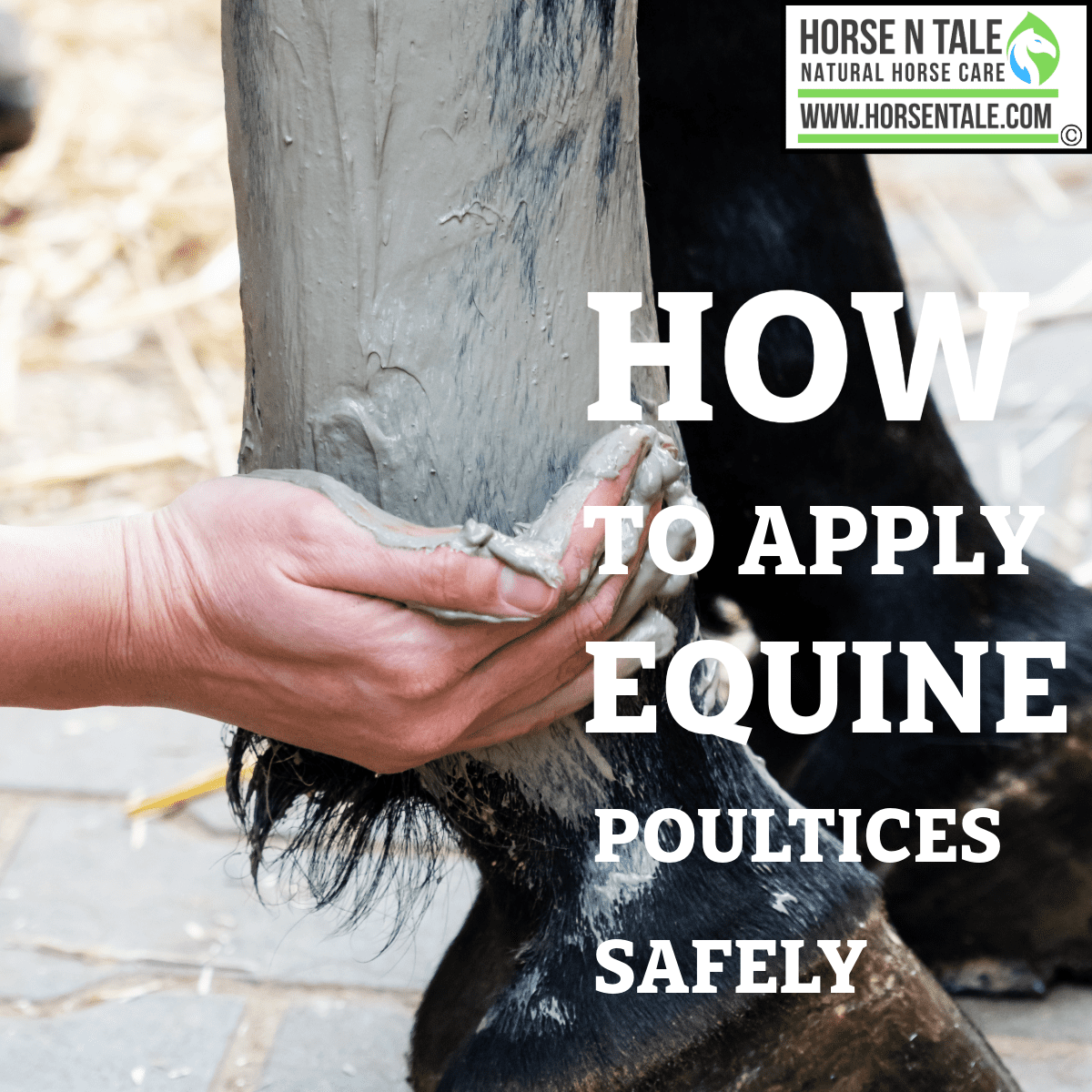 how to apply equine poultices safely, horse hooves, horse hooves conditioning, horse hooves conditioning spray, Hoof, Hoof Conditioner, HoofeZ, horse hooves, horse hooves conditioning, horse hooves conditioning spray, horse hooves, horse hooves conditioning, Hoof, horses hooves, hooves, hooves, Horse hooves, horse hoof, Hoof conditioner, Horse N Tale, Horse n Tale Topical Equine Products, topical equine products, natural horse care, horse supplies, Horse products, Horse n tale, topical equine products, natural horse care, horse products, horse supplies, topical equine products, natural products, botanical products, Horse N Tale, Horse n Tale Topical Equine Products, topical equine products, natural horse care, horse supplies, Horse products, natural ingredients, natural ingredients as nature intended, natural equine products, Hoof Eez, hoof care, hoof product, equine hoof care, horse hoof product, hoof care, hoof care product, horse rider, equestrian, barrel racer, arthritis pain product, hoof conditioner, all natural hoof care, All Natural Equine Hoof Care, all natural, all natural hoof care conditioner, all natural equine hoof care conditioner, equine hoof, horse hoof, all natural equine hoof care and conditioner, Hoof Eez, Hoof Care, Equine Hoof, Hoof Product, Equine Hoof Spray, Horse Hoof, Horse N Tale, Horse n Tale Topical Equine Products, topical equine products, natural horse care, horse supplies, Horse products, Horse n tale, topical equine products, natural horse care, horse products, horse supplies, topical equine products, natural products, botanical products, Horse N Tale, Horse n Tale Topical Equine Products, topical equine products, natural horse care, horse supplies, Horse products, natural ingredients, natural ingredients as nature intended, Hoof conditioner, all natural equine hoof care conditioner, Horse N Tale, Horse n Tale Topical Equine Products, topical equine products, natural horse care, horse supplies, Horse products, Horse n tale, topical equine products, natural horse care, horse products, horse supplies, topical equine products, natural products, botanical products, Horse N Tale, Horse n Tale Topical Equine Products, topical equine products, natural horse care, horse supplies, Horse products, natural ingredients, natural ingredients as nature intended, natural equine products, Hoof Eez, hoof care, hoof product, equine hoof care, horse hoof product, hoof care, hoof care product, horse rider, equestrian, barrel racer, arthritis pain product, hoof conditioner, all natural hoof care, All Natural Equine Hoof Care, all natural, all natural hoof care conditioner, Hoofeez, hoof eez, hoofeez, Hoof Eez, Hoof EeZ, Hoof Eez, Hoof, horses hooves, hooves, hooves, Horse hooves, horse hoof, Hoof conditioner, Horse N Tale, Horse n Tale Topical Equine Products, topical equine products, natural horse care, horse supplies, Horse products, Horse n tale, topical equine products, natural horse care, horse products, horse supplies, topical equine products, natural products, botanical products, Horse N Tale, Horse n Tale Topical Equine Products, topical equine products, natural horse care, horse supplies, Horse products, natural ingredients, natural ingredients as nature intended, natural equine products, Hoof Eez, hoof care, hoof product, equine hoof care, horse hoof product, hoof care, hoof care product, horse rider, equestrian, barrel racer, arthritis pain product, hoof conditioner, all natural hoof care, All Natural Equine Hoof Care, all natural, all natural hoof care conditioner, all natural equine hoof care conditioner, equine hoof, horse hoof, all natural equine hoof care and conditioner, Hoof Eez, Hoof Care, Equine Hoof, Hoof Product, Equine Hoof Spray, Horse Hoof, Horse N Tale, Horse n Tale Topical Equine Products, topical equine products, natural horse care, horse supplies, Horse products, Horse n tale, topical equine products, natural horse care, horse products, horse supplies, topical equine products, natural products, botanical products, Horse N Tale, Horse n Tale Topical Equine Products, topical equine products, natural horse care, horse supplies, Horse products, natural ingredients, natural ingredients as nature intended, Hoof conditioner, all natural equine hoof care conditioner, Horse N Tale, Horse n Tale Topical Equine Products, topical equine products, natural horse care, horse supplies, Horse products, Horse n tale, topical equine products, natural horse care, horse products, horse supplies, topical equine products, natural products, botanical products, Horse N Tale, Horse n Tale Topical Equine Products, topical equine products, natural horse care, horse supplies, Horse products, natural ingredients, natural ingredients as nature intended, natural equine products, Hoof Eez, hoof care, hoof product, equine hoof care, horse hoof product, hoof care, hoof care product, horse rider, equestrian, barrel racer, arthritis pain product, hoof conditioner, all natural hoof care, All Natural Equine Hoof Care, all natural, all natural hoof care conditioner, Hoof, horses hooves, hooves, hooves, Horse hooves, horse hoof, Hoof conditioner, Horse N Tale, Horse n Tale Topical Equine Products, topical equine products, natural horse care, horse supplies, Horse products, Horse n tale, topical equine products, natural horse care, horse products, horse supplies, topical equine products, natural products, botanical products, Horse N Tale, Horse n Tale Topical Equine Products, topical equine products, natural horse care, horse supplies, Horse products, natural ingredients, natural ingredients as nature intended, natural equine products, Hoof Eez, hoof care, hoof product, equine hoof care, horse hoof product, hoof care, hoof care product, horse rider, equestrian, barrel racer, arthritis pain product, hoof conditioner, all natural hoof care, All Natural Equine Hoof Care, all natural, all natural hoof care conditioner, all natural equine hoof care conditioner, equine hoof, horse hoof, all natural equine hoof care and conditioner, Hoof Eez, Hoof Care, Equine Hoof, Hoof Product, Equine Hoof Spray, Horse Hoof, Horse N Tale, Horse n Tale Topical Equine Products, topical equine products, natural horse care, horse supplies, Horse products, Horse n tale, topical equine products, natural horse care, horse products, horse supplies, topical equine products, natural products, botanical products, Horse N Tale, Horse n Tale Topical Equine Products, topical equine products, natural horse care, horse supplies, Horse products, natural ingredients, natural ingredients as nature intended, Hoof conditioner, all natural equine hoof care conditioner, Horse N Tale, Horse n Tale Topical Equine Products, topical equine products, natural horse care, horse supplies, Horse products, Horse n tale, topical equine products, natural horse care, horse products, horse supplies, topical equine products, natural products, botanical products, Horse N Tale, Horse n Tale Topical Equine Products, topical equine products, natural horse care, horse supplies, Horse products, natural ingredients, natural ingredients as nature intended, natural equine products, Hoof Eez, hoof care, hoof product, equine hoof care, horse hoof product, hoof care, hoof care product, horse rider, equestrian, barrel racer, arthritis pain product, hoof conditioner, all natural hoof care, All Natural Equine Hoof Care, all natural, all natural hoof care conditioner, Hoof, horses hooves, hooves, hooves, Horse hooves, horse hoof, Hoof conditioner, Horse N Tale, Horse n Tale Topical Equine Products, topical equine products, natural horse care, horse supplies, Horse products, Horse n tale, topical equine products, natural horse care, horse products, horse supplies, topical equine products, natural products, botanical products, Horse N Tale, Horse n Tale Topical Equine Products, topical equine products, natural horse care, horse supplies, Horse products, natural ingredients, natural ingredients as nature intended, natural equine products, Hoof Eez, hoof care, hoof product, equine hoof care, horse hoof product, hoof care, hoof care product, horse rider, equestrian, barrel racer, arthritis pain product, hoof conditioner, all natural hoof care, All Natural Equine Hoof Care, all natural, all natural hoof care conditioner, all natural equine hoof care conditioner, equine hoof, horse hoof, all natural equine hoof care and conditioner, Hoof Eez, Hoof Care, Equine Hoof, Hoof Product, Equine Hoof Spray, Horse Hoof, Horse N Tale, Horse n Tale Topical Equine Products, topical equine products, natural horse care, horse supplies, Horse products, Horse n tale, topical equine products, natural horse care, horse products, horse supplies, topical equine products, natural products, botanical products, Horse N Tale, Horse n Tale Topical Equine Products, topical equine products, natural horse care, horse supplies, Horse products, natural ingredients, natural ingredients as nature intended, Hoof conditioner, all natural equine hoof care conditioner, Horse N Tale, Horse n Tale Topical Equine Products, topical equine products, natural horse care, horse supplies, Horse products, Horse n tale, topical equine products, natural horse care, horse products, horse supplies, topical equine products, natural products, botanical products, Horse N Tale, Horse n Tale Topical Equine Products, topical equine products, natural horse care, horse supplies, Horse products, natural ingredients, natural ingredients as nature intended, natural equine products, Hoof Eez, hoof care, hoof product, equine hoof care, horse hoof product, hoof care, hoof care product, horse rider, equestrian, barrel racer, hoof conditioner, all natural hoof care, All Natural Equine Hoof Care, all natural, all natural hoof care conditioner, Hoof conditioner, Horse N Tale, Horse n Tale Topical Equine Products, topical equine products, natural horse care, horse supplies, Horse products, Horse n tale, topical equine products, natural horse care, horse products, horse supplies, topical equine products, natural products, botanical products, Horse N Tale, Horse n Tale Topical Equine Products, topical equine products, natural horse care, horse supplies, Horse products, natural ingredients, natural ingredients as nature intended, natural equine products, Hoof Eez, hoof care, hoof product, equine hoof care, horse hoof product, hoof care, hoof care product, horse rider, equestrian, barrel racer, arthritis pain product, hoof conditioner, all natural hoof care, All Natural Equine Hoof Care, all natural, all natural hoof care conditioner, all natural equine hoof care conditioner, equine hoof, horse hoof, all natural equine hoof care and conditioner, Hoof Eez, Hoof Care, Equine Hoof, Hoof Product, Equine Hoof Spray, Horse Hoof, Horse N Tale, Horse n Tale Topical Equine Products, topical equine products, natural horse care, horse supplies, Horse products, Horse n tale, topical equine products, natural horse care, horse products, horse supplies, topical equine products, natural products, botanical products, Horse N Tale, Horse n Tale Topical Equine Products, topical equine products, natural horse care, horse supplies, Horse products, natural ingredients, natural ingredients as nature intended, hooves, Horse hooves, horse hoof, hooves, Hoof conditioner, horse hooves, horse hooves conditioning, horse hooves conditioning spray, Ache Away, Breathe Ez, Heal Ez, Knot Ez Tags: Ache Away, Ache Away Double Action Liniment, Ache Away Horse Liniment, Ache Away horse liniment gel, ache away magic mud, all natural ingredients, anti-inflammatory cream for horses, anti-inflammatory for horses, antiseptic cream for horses, aromatherapy, aromatic, Arthritis Ez, Arthritis Pain, ArthritisEz, barn bundle, Barrel Horse, barrel horse riders, barrel racing, Behavior Balance Ez, best horse detangler, best horse liniment for humans, best mane and tail detangler for horses, best ointment for horse wounds, best wound care for horses, botanical products, breathe easy for horses, Breathe Ez, Breathe Ez for Horse, breathe ez for horses, breathe ez horse liniment breathe ez horse liniment, breathe ez horse roll on, breathe ez roll on, breathe eze for horses, BreatheEz Respiratory support, BreathEz, breathing difficulties, breathing horses, buddy sour, buddy sour horses, bundles, calming a horse, cut, cut and heal for horses, cuts, diy horse detangler, double action, double action gel, double action liniment, Double action liniment gel, double action liniment gel rub, double action rub, equine, Equine aromatherapy, Equine Arthritis, Equine arthritis Pain, equine arthritis pain product, Equine Arthritis Product, equine athlete, equine athletes, Equine Behavior, equine behavior modification, equine behavior problems, Equine Behavior Product, Equine Behavior Product Moodz, equine behavior products, equine breathing, equine breathing difficulties, equine breathing treatment, equine conditioner, equine congestion, equine cough, equine cough and congestion, equine essential care bundle, Equine exercise liniment rub, equine holistic products, Equine Joint Pain, Equine Joint Product, Equine Joints, equine leg and muscle rub, equine liniment rub, equine muscle, equine muscle pain, equine muscle rub, equine pain, equine pain product, Equine Pain Relief, Equine Pain Relief Horse N Tale, equine performance bundle, Equine Respiratory, equine respiratory product, EQUINE RESPIRATORY SUPPORT, equine respiratory support liniment, equine respiratory support product, equine respiratory support products, Equine Respiratory Support Spray, equine shampoo, Equine shampoo and conditioner, Equine wound, equine wound care, Equine Wound Care Heal Ez, equine wound care products, equine wound management, equine wound product, equine wound spray, essential horse bundle, essential horse care bundle, ExerciseEz, gel, Grooming, grooming products, Heal Ez, HealEz wound spray, herbs for horses breathe, holistic, holistic products, homemade horse detangler, horse and mane detangler, horse and tail shampoo, horse arthritis, horse arthritis and pain relief, horse balance, horse behavior Buddy Ez, horse behavior Calm Eez, horse behavior Confidence Ez, horse breathing, horse breathing heavy, horse breathing treatments, horse bundle, Horse Conditioner, horse confidence, Horse Detangler, horse detangler spray, horse exercise rub, horse gel for pain, horse grooming, horse grooming products, horse grooming products Grooming, horse hair detangler, horse joint rub, Horse liniment, Horse Liniment Ache Away, horse liniment for human use, horse liniment gel, horse liniment gel for humans, horse liniment spray, Horse Mane and Tail, horse mane and tail detangle, horse mane detangler, horse mane shampoo, horse manes, horse manes and tail, horse muscle rub, horse n tail calming shampoo, Horse N Tale, Horse N Tale Ache Away, horse n tale breathe ez spray, Horse N Tale ExerciseEz, Horse N Tale Horse Rub, Horse N Tale liniment gel, Horse n Tale Natural Horse Care, horse n tale pain ez, horse n tale painez, horse n tale product bundle, Horse N Tale rub, horse n tale shampoo, Horse N Tale SIBRA Easter Giveaway, Horse n tale topical equine products, Horse n Tale Topical Equine Products Natural Horse Care for Equine Athletes, horse n teal, horse noisy breathing, horse oil muscle rub, horse ointment for cuts, horse pain, horse pain ointment, horse pain relief arthritis, horse post exercise rub, horse pre exercise rub, horse product, horse product bundle, horse products, horse rapid shallow breathing, horse rub, horse rub for humans, horse rub for pain, horse rub for sore joints, horse rub for sore muscles, horse shampoo, Horse Shampoo and Conditioner, horse shampoo for hair growth, horse supplies, horse wound, horse wound care, horse wound care products, horse wound care spray, horse wound healing, horse wound ointment, horse wound spray, horse wound treatment, horsentale, horses with heaves breathing, Joint Ez, Joint Pain, JointEz, Knot Ez, Knot Ez Mane and Tail, KnotEz mane & Tail Detangler, labored breathing in horses, liniment, liniment gel, liniment rub for horses, liniment spray, magic mud, mane & tail detangler, Mane and Tail, mane and tail detangeler, mane and tail detangle, mane and tail detangler, mane and tail detangler for horses, mane and tail detangler for humans, mane and tail detangler near me, mane and tail detangler spray, mane and tail horse shampoo, mane and tail spray, mane detangler, mane n tail detangler, mane n tail detangler extreme, mane n tail detangler review, mane n tail detangler spray, mane n tail spray, mood mare, moody mare, moody mare product Stubborn Ez, moodz moody mare, muscle pain, muscle product, Muscle relief, muscle rub for horses, Muscle soreness pain relief, natural equine products, Natural Horse, natural horse care, Natural Horse Care News, natural horse care store, natural horse for equine athletes, natural ingredients, natural ingredients as nature intended, natural ingredients as nature intended Arthritis, natural products, Pain Ez, Pain Relief, pain rub for horses, Ache Away, painez, painez horse rub, Post exercise liniment rub, post workout rub, pre and post exercise rub, pre and post workout gel, pre and post workout rub, pre workout rub, respiratory, respiratory liniment, respiratory product, respiratory spray, respiratory support, shampoo, Shampoo & Conditioner, sibra, sore muscle rub for horses, sore muscles, spray for horses wounds, stable starter bundle, topical anti-inflammatory for horses, topical equine products, veterinary liniment, veterinary liniment gel, warming and cooling effect, Wash Eez, Wash eez Equine Shampoo, Wash eez Equine Shampoo Edit, wound, Wound care, wound care equine, wound care for horses legs, wound care products, wound cream for horses, Ache Away, BreatheEz, HealEz, KnotEz, Ache Away, Ache Away Double Action Liniment, Ache Away Horse Liniment, Ache Away horse liniment gel, ache away magic mud, all natural ingredients, anti-inflammatory cream for horses, anti-inflammatory for horses, antiseptic cream for horses, aromatherapy, aromatic, Arthritis Ez, Arthritis Pain, ArthritisEz, barn bundle, Barrel Horse, barrel horse riders, barrel racing, Behavior Balance Ez, best horse detangler, best horse liniment for humans, best mane and tail detangler for horses, best ointment for horse wounds, best wound care for horses, botanical products, breathe easy for horses, Breathe Ez, Breathe Ez for Horse, breathe ez for horses, breathe ez horse liniment breathe ez horse liniment, breathe ez horse roll on, breathe ez roll on, breathe eze for horses, BreatheEz Respiratory support, BreathEz, breathing difficulties, breathing horses, buddy sour, buddy sour horses, bundles, calming a horse, cut, cut and heal for horses, cuts, diy horse detangler, double action, double action gel, double action liniment, Double action liniment gel, double action liniment gel rub, double action rub, equine, Equine aromatherapy, Equine Arthritis, Equine arthritis Pain, equine arthritis pain product, Equine Arthritis Product, equine athlete, equine athletes, Equine Behavior, equine behavior modification, equine behavior problems, Equine Behavior Product, Equine Behavior Product Moodz, equine behavior products, equine breathing, equine breathing difficulties, equine breathing treatment, equine conditioner, equine congestion, equine cough, equine cough and congestion, equine essential care bundle, Equine exercise liniment rub, equine holistic products, Equine Joint Pain, Equine Joint Product, Equine Joints, equine leg and muscle rub, equine liniment rub, equine muscle, equine muscle pain, equine muscle rub, equine pain, equine pain product, Equine Pain Relief, Equine Pain Relief Horse N Tale, equine performance bundle, Equine Respiratory, equine respiratory product, EQUINE RESPIRATORY SUPPORT, equine respiratory support liniment, equine respiratory support product, equine respiratory support products, Equine Respiratory Support Spray, equine shampoo, Equine shampoo and conditioner, Equine wound, equine wound care, Equine Wound Care Heal Ez, equine wound care products, equine wound management, equine wound product, equine wound spray, essential horse bundle, essential horse care bundle, ExerciseEz, gel, Grooming, grooming products, Heal Ez, HealEz wound spray, herbs for horses breathe, holistic, holistic products, homemade horse detangler, horse and mane detangler, horse and tail shampoo, horse arthritis, horse arthritis and pain relief, horse balance, horse behavior Buddy Ez, horse behavior Calm Eez, horse behavior Confidence Ez, horse breathing, horse breathing heavy, horse breathing treatments, horse bundle, Horse Conditioner, horse confidence, Horse Detangler, horse detangler spray, horse exercise rub, horse gel for pain, horse grooming, horse grooming products, horse grooming products Grooming, horse hair detangler, horse joint rub, Horse liniment, Horse Liniment Ache Away, horse liniment for human use, horse liniment gel, horse liniment gel for humans, horse liniment spray, Horse Mane and Tail, horse mane and tail detangle, horse mane detangler, horse mane shampoo, horse manes, horse manes and tail, horse muscle rub, horse n tail calming shampoo, Horse N Tale, Horse N Tale Ache Away, horse n tale breathe ez spray, Horse N Tale ExerciseEz, Horse N Tale Horse Rub, Horse N Tale liniment gel, Horse n Tale Natural Horse Care, horse n tale pain ez, horse n tale painez, horse n tale product bundle, Horse N Tale rub, horse n tale shampoo, Horse N Tale SIBRA Easter Giveaway, Horse n tale topical equine products, Horse n Tale Topical Equine Products Natural Horse Care for Equine Athletes, horse n teal, horse noisy breathing, horse oil muscle rub, horse ointment for cuts, horse pain, horse pain ointment, horse pain relief arthritis, horse post exercise rub, horse pre exercise rub, horse product, horse product bundle, horse products, horse rapid shallow breathing, horse rub, horse rub for humans, horse rub for pain, horse rub for sore joints, horse rub for sore muscles, horse shampoo, Horse Shampoo and Conditioner, horse shampoo for hair growth, horse supplies, horse wound, horse wound care, horse wound care products, horse wound care spray, horse wound healing, horse wound ointment, horse wound spray, horse wound treatment, horsentale, horses with heaves breathing, Joint Ez, Joint Pain, JointEz, Knot Ez, Knot Ez Mane and Tail, KnotEz mane & Tail Detangler, labored breathing in horses, liniment, liniment gel, liniment rub for horses, liniment spray, magic mud, mane & tail detangler, Mane and Tail, mane and tail detangeler, mane and tail detangle, mane and tail detangler, mane and tail detangler for horses, mane and tail detangler for humans, mane and tail detangler near me, mane and tail detangler spray, mane and tail horse shampoo, mane and tail spray, mane detangler, mane n tail detangler, mane n tail detangler extreme, mane n tail detangler review, mane n tail detangler spray, mane n tail spray, mood mare, moody mare, moody mare product Stubborn Ez, moodz moody mare, muscle pain, muscle product, Muscle relief, muscle rub for horses, Muscle soreness pain relief, natural equine products, Natural Horse, natural horse care, Natural Horse Care News, natural horse care store, natural horse for equine athletes, natural ingredients, natural ingredients as nature intended, natural ingredients as nature intended Arthritis, natural products, Pain Ez, Pain Relief, pain rub for horses, Pain Tags: Ache Away, painez, painez horse rub, Post exercise liniment rub, post workout rub, pre and post exercise rub, pre and post workout gel, pre and post workout rub, pre workout rub, respiratory, respiratory liniment, respiratory product, respiratory spray, respiratory support, shampoo, Shampoo & Conditioner, sibra, sore muscle rub for horses, sore muscles, spray for horses wounds, stable starter bundle, topical anti-inflammatory for horses, topical equine products, veterinary liniment, veterinary liniment gel, warming and cooling effect, Wash Eez, Wash eez Equine Shampoo, Wash eez Equine Shampoo Edit, wound, Wound care, wound care equine, wound care for horses legs, wound care products, wound cream for horses www.horsentale.com, horse hooves, horse hooves conditioning, horse hooves conditioning spray, Hoof, Hoof Conditioner, HoofeZ, horse hooves, horse hooves conditioning, horse hooves conditioning spray, horse hooves, horse hooves conditioning, Hoof, horses hooves, hooves, hooves, Horse hooves, horse hoof, Hoof conditioner, Horse N Tale, Horse n Tale Topical Equine Products, topical equine products, natural horse care, horse supplies, Horse products, Horse n tale, topical equine products, natural horse care, horse products, horse supplies, topical equine products, natural products, botanical products, Horse N Tale, Horse n Tale Topical Equine Products, topical equine products, natural horse care, horse supplies, Horse products, natural ingredients, natural ingredients as nature intended, natural equine products, Hoof Eez, hoof care, hoof product, equine hoof care, horse hoof product, hoof care, hoof care product, horse rider, equestrian, barrel racer, arthritis pain product, hoof conditioner, all natural hoof care, All Natural Equine Hoof Care, all natural, all natural hoof care conditioner, all natural equine hoof care conditioner, equine hoof, horse hoof, all natural equine hoof care and conditioner, Hoof Eez, Hoof Care, Equine Hoof, Hoof Product, Equine Hoof Spray, Horse Hoof, Horse N Tale, Horse n Tale Topical Equine Products, topical equine products, natural horse care, horse supplies, Horse products, Horse n tale, topical equine products, natural horse care, horse products, horse supplies, topical equine products, natural products, botanical products, Horse N Tale, Horse n Tale Topical Equine Products, topical equine products, natural horse care, horse supplies, Horse products, natural ingredients, natural ingredients as nature intended, Hoof conditioner, all natural equine hoof care conditioner, Horse N Tale, Horse n Tale Topical Equine Products, topical equine products, natural horse care, horse supplies, Horse products, Horse n tale, topical equine products, natural horse care, horse products, horse supplies, topical equine products, natural products, botanical products, Horse N Tale, Horse n Tale Topical Equine Products, topical equine products, natural horse care, horse supplies, Horse products, natural ingredients, natural ingredients as nature intended, natural equine products, Hoof Eez, hoof care, hoof product, equine hoof care, horse hoof product, hoof care, hoof care product, horse rider, equestrian, barrel racer, arthritis pain product, hoof conditioner, all natural hoof care, All Natural Equine Hoof Care, all natural, all natural hoof care conditioner, Hoofeez, hoof eez, hoofeez, Hoof Eez, Hoof EeZ, Hoof Eez, Hoof, horses hooves, hooves, hooves, Horse hooves, horse hoof, Hoof conditioner, Horse N Tale, Horse n Tale Topical Equine Products, topical equine products, natural horse care, horse supplies, Horse products, Horse n tale, topical equine products, natural horse care, horse products, horse supplies, topical equine products, natural products, botanical products, Horse N Tale, Horse n Tale Topical Equine Products, topical equine products, natural horse care, horse supplies, Horse products, natural ingredients, natural ingredients as nature intended, natural equine products, Hoof Eez, hoof care, hoof product, equine hoof care, horse hoof product, hoof care, hoof care product, horse rider, equestrian, barrel racer, arthritis pain product, hoof conditioner, all natural hoof care, All Natural Equine Hoof Care, all natural, all natural hoof care conditioner, all natural equine hoof care conditioner, equine hoof, horse hoof, all natural equine hoof care and conditioner, Hoof Eez, Hoof Care, Equine Hoof, Hoof Product, Equine Hoof Spray, Horse Hoof, Horse N Tale, Horse n Tale Topical Equine Products, topical equine products, natural horse care, horse supplies, Horse products, Horse n tale, topical equine products, natural horse care, horse products, horse supplies, topical equine products, natural products, botanical products, Horse N Tale, Horse n Tale Topical Equine Products, topical equine products, natural horse care, horse supplies, Horse products, natural ingredients, natural ingredients as nature intended, Hoof conditioner, all natural equine hoof care conditioner, Horse N Tale, Horse n Tale Topical Equine Products, topical equine products, natural horse care, horse supplies, Horse products, Horse n tale, topical equine products, natural horse care, horse products, horse supplies, topical equine products, natural products, botanical products, Horse N Tale, Horse n Tale Topical Equine Products, topical equine products, natural horse care, horse supplies, Horse products, natural ingredients, natural ingredients as nature intended, natural equine products, Hoof Eez, hoof care, hoof product, equine hoof care, horse hoof product, hoof care, hoof care product, horse rider, equestrian, barrel racer, arthritis pain product, hoof conditioner, all natural hoof care, All Natural Equine Hoof Care, all natural, all natural hoof care conditioner, Hoof, horses hooves, hooves, hooves, Horse hooves, horse hoof, Hoof conditioner, Horse N Tale, Horse n Tale Topical Equine Products, topical equine products, natural horse care, horse supplies, Horse products, Horse n tale, topical equine products, natural horse care, horse products, horse supplies, topical equine products, natural products, botanical products, Horse N Tale, Horse n Tale Topical Equine Products, topical equine products, natural horse care, horse supplies, Horse products, natural ingredients, natural ingredients as nature intended, natural equine products, Hoof Eez, hoof care, hoof product, equine hoof care, horse hoof product, hoof care, hoof care product, horse rider, equestrian, barrel racer, arthritis pain product, hoof conditioner, all natural hoof care, All Natural Equine Hoof Care, all natural, all natural hoof care conditioner, all natural equine hoof care conditioner, equine hoof, horse hoof, all natural equine hoof care and conditioner, Hoof Eez, Hoof Care, Equine Hoof, Hoof Product, Equine Hoof Spray, Horse Hoof, Horse N Tale, Horse n Tale Topical Equine Products, topical equine products, natural horse care, horse supplies, Horse products, Horse n tale, topical equine products, natural horse care, horse products, horse supplies, topical equine products, natural products, botanical products, Horse N Tale, Horse n Tale Topical Equine Products, topical equine products, natural horse care, horse supplies, Horse products, natural ingredients, natural ingredients as nature intended, Hoof conditioner, all natural equine hoof care conditioner, Horse N Tale, Horse n Tale Topical Equine Products, topical equine products, natural horse care, horse supplies, Horse products, Horse n tale, topical equine products, natural horse care, horse products, horse supplies, topical equine products, natural products, botanical products, Horse N Tale, Horse n Tale Topical Equine Products, topical equine products, natural horse care, horse supplies, Horse products, natural ingredients, natural ingredients as nature intended, natural equine products, Hoof Eez, hoof care, hoof product, equine hoof care, horse hoof product, hoof care, hoof care product, horse rider, equestrian, barrel racer, arthritis pain product, hoof conditioner, all natural hoof care, All Natural Equine Hoof Care, all natural, all natural hoof care conditioner, Hoof, horses hooves, hooves, hooves, Horse hooves, horse hoof, Hoof conditioner, Horse N Tale, Horse n Tale Topical Equine Products, topical equine products, natural horse care, horse supplies, Horse products, Horse n tale, topical equine products, natural horse care, horse products, horse supplies, topical equine products, natural products, botanical products, Horse N Tale, Horse n Tale Topical Equine Products, topical equine products, natural horse care, horse supplies, Horse products, natural ingredients, natural ingredients as nature intended, natural equine products, Hoof Eez, hoof care, hoof product, equine hoof care, horse hoof product, hoof care, hoof care product, horse rider, equestrian, barrel racer, arthritis pain product, hoof conditioner, all natural hoof care, All Natural Equine Hoof Care, all natural, all natural hoof care conditioner, all natural equine hoof care conditioner, equine hoof, horse hoof, all natural equine hoof care and conditioner, Hoof Eez, Hoof Care, Equine Hoof, Hoof Product, Equine Hoof Spray, Horse Hoof, Horse N Tale, Horse n Tale Topical Equine Products, topical equine products, natural horse care, horse supplies, Horse products, Horse n tale, topical equine products, natural horse care, horse products, horse supplies, topical equine products, natural products, botanical products, Horse N Tale, Horse n Tale Topical Equine Products, topical equine products, natural horse care, horse supplies, Horse products, natural ingredients, natural ingredients as nature intended, Hoof conditioner, all natural equine hoof care conditioner, Horse N Tale, Horse n Tale Topical Equine Products, topical equine products, natural horse care, horse supplies, Horse products, Horse n tale, topical equine products, natural horse care, horse products, horse supplies, topical equine products, natural products, botanical products, Horse N Tale, Horse n Tale Topical Equine Products, topical equine products, natural horse care, horse supplies, Horse products, natural ingredients, natural ingredients as nature intended, natural equine products, Hoof Eez, hoof care, hoof product, equine hoof care, horse hoof product, hoof care, hoof care product, horse rider, equestrian, barrel racer, hoof conditioner, all natural hoof care, All Natural Equine Hoof Care, all natural, all natural hoof care conditioner, Hoof conditioner, Horse N Tale, Horse n Tale Topical Equine Products, topical equine products, natural horse care, horse supplies, Horse products, Horse n tale, topical equine products, natural horse care, horse products, horse supplies, topical equine products, natural products, botanical products, Horse N Tale, Horse n Tale Topical Equine Products, topical equine products, natural horse care, horse supplies, Horse products, natural ingredients, natural ingredients as nature intended, natural equine products, Hoof Eez, hoof care, hoof product, equine hoof care, horse hoof product, hoof care, hoof care product, horse rider, equestrian, barrel racer, arthritis pain product, hoof conditioner, all natural hoof care, All Natural Equine Hoof Care, all natural, all natural hoof care conditioner, all natural equine hoof care conditioner, equine hoof, horse hoof, all natural equine hoof care and conditioner, Hoof Eez, Hoof Care, Equine Hoof, Hoof Product, Equine Hoof Spray, Horse Hoof, Horse N Tale, Horse n Tale Topical Equine Products, topical equine products, natural horse care, horse supplies, Horse products, Horse n tale, topical equine products, natural horse care, horse products, horse supplies, topical equine products, natural products, botanical products, Horse N Tale, Horse n Tale Topical Equine Products, topical equine products, natural horse care, horse supplies, Horse products, natural ingredients, natural ingredients as nature intended, hooves, Horse hooves, horse hoof, hooves, Hoof conditioner, horse hooves, horse hooves conditioning, horse hooves conditioning spray, Ache Away, Breathe Ez, Heal Ez, Knot Ez Tags: Ache Away, Ache Away Double Action Liniment, Ache Away Horse Liniment, Ache Away horse liniment gel, ache away magic mud, all natural ingredients, anti-inflammatory cream for horses, anti-inflammatory for horses, antiseptic cream for horses, aromatherapy, aromatic, Arthritis Ez, Arthritis Pain, ArthritisEz, barn bundle, Barrel Horse, barrel horse riders, barrel racing, Behavior Balance Ez, best horse detangler, best horse liniment for humans, best mane and tail detangler for horses, best ointment for horse wounds, best wound care for horses, botanical products, breathe easy for horses, Breathe Ez, Breathe Ez for Horse, breathe ez for horses, breathe ez horse liniment breathe ez horse liniment, breathe ez horse roll on, breathe ez roll on, breathe eze for horses, BreatheEz Respiratory support, BreathEz, breathing difficulties, breathing horses, buddy sour, buddy sour horses, bundles, calming a horse, cut, cut and heal for horses, cuts, diy horse detangler, double action, double action gel, double action liniment, Double action liniment gel, double action liniment gel rub, double action rub, equine, Equine aromatherapy, Equine Arthritis, Equine arthritis Pain, equine arthritis pain product, Equine Arthritis Product, equine athlete, equine athletes, Equine Behavior, equine behavior modification, equine behavior problems, Equine Behavior Product, Equine Behavior Product Moodz, equine behavior products, equine breathing, equine breathing difficulties, equine breathing treatment, equine conditioner, equine congestion, equine cough, equine cough and congestion, equine essential care bundle, Equine exercise liniment rub, equine holistic products, Equine Joint Pain, Equine Joint Product, Equine Joints, equine leg and muscle rub, equine liniment rub, equine muscle, equine muscle pain, equine muscle rub, equine pain, equine pain product, Equine Pain Relief, Equine Pain Relief Horse N Tale, equine performance bundle, Equine Respiratory, equine respiratory product, EQUINE RESPIRATORY SUPPORT, equine respiratory support liniment, equine respiratory support product, equine respiratory support products, Equine Respiratory Support Spray, equine shampoo, Equine shampoo and conditioner, Equine wound, equine wound care, Equine Wound Care Heal Ez, equine wound care products, equine wound management, equine wound product, equine wound spray, essential horse bundle, essential horse care bundle, ExerciseEz, gel, Grooming, grooming products, Heal Ez, HealEz wound spray, herbs for horses breathe, holistic, holistic products, homemade horse detangler, horse and mane detangler, horse and tail shampoo, horse arthritis, horse arthritis and pain relief, horse balance, horse behavior Buddy Ez, horse behavior Calm Eez, horse behavior Confidence Ez, horse breathing, horse breathing heavy, horse breathing treatments, horse bundle, Horse Conditioner, horse confidence, Horse Detangler, horse detangler spray, horse exercise rub, horse gel for pain, horse grooming, horse grooming products, horse grooming products Grooming, horse hair detangler, horse joint rub, Horse liniment, Horse Liniment Ache Away, horse liniment for human use, horse liniment gel, horse liniment gel for humans, horse liniment spray, Horse Mane and Tail, horse mane and tail detangle, horse mane detangler, horse mane shampoo, horse manes, horse manes and tail, horse muscle rub, horse n tail calming shampoo, Horse N Tale, Horse N Tale Ache Away, horse n tale breathe ez spray, Horse N Tale ExerciseEz, Horse N Tale Horse Rub, Horse N Tale liniment gel, Horse n Tale Natural Horse Care, horse n tale pain ez, horse n tale painez, horse n tale product bundle, Horse N Tale rub, horse n tale shampoo, Horse N Tale SIBRA Easter Giveaway, Horse n tale topical equine products, Horse n Tale Topical Equine Products Natural Horse Care for Equine Athletes, horse n teal, horse noisy breathing, horse oil muscle rub, horse ointment for cuts, horse pain, horse pain ointment, horse pain relief arthritis, horse post exercise rub, horse pre exercise rub, horse product, horse product bundle, horse products, horse rapid shallow breathing, horse rub, horse rub for humans, horse rub for pain, horse rub for sore joints, horse rub for sore muscles, horse shampoo, Horse Shampoo and Conditioner, horse shampoo for hair growth, horse supplies, horse wound, horse wound care, horse wound care products, horse wound care spray, horse wound healing, horse wound ointment, horse wound spray, horse wound treatment, horsentale, horses with heaves breathing, Joint Ez, Joint Pain, JointEz, Knot Ez, Knot Ez Mane and Tail, KnotEz mane & Tail Detangler, labored breathing in horses, liniment, liniment gel, liniment rub for horses, liniment spray, magic mud, mane & tail detangler, Mane and Tail, mane and tail detangeler, mane and tail detangle, mane and tail detangler, mane and tail detangler for horses, mane and tail detangler for humans, mane and tail detangler near me, mane and tail detangler spray, mane and tail horse shampoo, mane and tail spray, mane detangler, mane n tail detangler, mane n tail detangler extreme, mane n tail detangler review, mane n tail detangler spray, mane n tail spray, mood mare, moody mare, moody mare product Stubborn Ez, moodz moody mare, muscle pain, muscle product, Muscle relief, muscle rub for horses, Muscle soreness pain relief, natural equine products, Natural Horse, natural horse care, Natural Horse Care News, natural horse care store, natural horse for equine athletes, natural ingredients, natural ingredients as nature intended, natural ingredients as nature intended Arthritis, natural products, Pain Ez, Pain Relief, pain rub for horses, Ache Away, painez, painez horse rub, Post exercise liniment rub, post workout rub, pre and post exercise rub, pre and post workout gel, pre and post workout rub, pre workout rub, respiratory, respiratory liniment, respiratory product, respiratory spray, respiratory support, shampoo, Shampoo & Conditioner, sibra, sore muscle rub for horses, sore muscles, spray for horses wounds, stable starter bundle, topical anti-inflammatory for horses, topical equine products, veterinary liniment, veterinary liniment gel, warming and cooling effect, Wash Eez, Wash eez Equine Shampoo, Wash eez Equine Shampoo Edit, wound, Wound care, wound care equine, wound care for horses legs, wound care products, wound cream for horses, Ache Away, BreatheEz, HealEz, KnotEz, Ache Away, Ache Away Double Action Liniment, Ache Away Horse Liniment, Ache Away horse liniment gel, ache away magic mud, all natural ingredients, anti-inflammatory cream for horses, anti-inflammatory for horses, antiseptic cream for horses, aromatherapy, aromatic, Arthritis Ez, Arthritis Pain, ArthritisEz, barn bundle, Barrel Horse, barrel horse riders, barrel racing, Behavior Balance Ez, best horse detangler, best horse liniment for humans, best mane and tail detangler for horses, best ointment for horse wounds, best wound care for horses, botanical products, breathe easy for horses, Breathe Ez, Breathe Ez for Horse, breathe ez for horses, breathe ez horse liniment breathe ez horse liniment, breathe ez horse roll on, breathe ez roll on, breathe eze for horses, BreatheEz Respiratory support, BreathEz, breathing difficulties, breathing horses, buddy sour, buddy sour horses, bundles, calming a horse, cut, cut and heal for horses, cuts, diy horse detangler, double action, double action gel, double action liniment, Double action liniment gel, double action liniment gel rub, double action rub, equine, Equine aromatherapy, Equine Arthritis, Equine arthritis Pain, equine arthritis pain product, Equine Arthritis Product, equine athlete, equine athletes, Equine Behavior, equine behavior modification, equine behavior problems, Equine Behavior Product, Equine Behavior Product Moodz, equine behavior products, equine breathing, equine breathing difficulties, equine breathing treatment, equine conditioner, equine congestion, equine cough, equine cough and congestion, equine essential care bundle, Equine exercise liniment rub, equine holistic products, Equine Joint Pain, Equine Joint Product, Equine Joints, equine leg and muscle rub, equine liniment rub, equine muscle, equine muscle pain, equine muscle rub, equine pain, equine pain product, Equine Pain Relief, Equine Pain Relief Horse N Tale, equine performance bundle, Equine Respiratory, equine respiratory product, EQUINE RESPIRATORY SUPPORT, equine respiratory support liniment, equine respiratory support product, equine respiratory support products, Equine Respiratory Support Spray, equine shampoo, Equine shampoo and conditioner, Equine wound, equine wound care, Equine Wound Care Heal Ez, equine wound care products, equine wound management, equine wound product, equine wound spray, essential horse bundle, essential horse care bundle, ExerciseEz, gel, Grooming, grooming products, Heal Ez, HealEz wound spray, herbs for horses breathe, holistic, holistic products, homemade horse detangler, horse and mane detangler, horse and tail shampoo, horse arthritis, horse arthritis and pain relief, horse balance, horse behavior Buddy Ez, horse behavior Calm Eez, horse behavior Confidence Ez, horse breathing, horse breathing heavy, horse breathing treatments, horse bundle, Horse Conditioner, horse confidence, Horse Detangler, horse detangler spray, horse exercise rub, horse gel for pain, horse grooming, horse grooming products, horse grooming products Grooming, horse hair detangler, horse joint rub, Horse liniment, Horse Liniment Ache Away, horse liniment for human use, horse liniment gel, horse liniment gel for humans, horse liniment spray, Horse Mane and Tail, horse mane and tail detangle, horse mane detangler, horse mane shampoo, horse manes, horse manes and tail, horse muscle rub, horse n tail calming shampoo, Horse N Tale, Horse N Tale Ache Away, horse n tale breathe ez spray, Horse N Tale ExerciseEz, Horse N Tale Horse Rub, Horse N Tale liniment gel, Horse n Tale Natural Horse Care, horse n tale pain ez, horse n tale painez, horse n tale product bundle, Horse N Tale rub, horse n tale shampoo, Horse N Tale SIBRA Easter Giveaway, Horse n tale topical equine products, Horse n Tale Topical Equine Products Natural Horse Care for Equine Athletes, horse n teal, horse noisy breathing, horse oil muscle rub, horse ointment for cuts, horse pain, horse pain ointment, horse pain relief arthritis, horse post exercise rub, horse pre exercise rub, horse product, horse product bundle, horse products, horse rapid shallow breathing, horse rub, horse rub for humans, horse rub for pain, horse rub for sore joints, horse rub for sore muscles, horse shampoo, Horse Shampoo and Conditioner, horse shampoo for hair growth, horse supplies, horse wound, horse wound care, horse wound care products, horse wound care spray, horse wound healing, horse wound ointment, horse wound spray, horse wound treatment, horsentale, horses with heaves breathing, Joint Ez, Joint Pain, JointEz, Knot Ez, Knot Ez Mane and Tail, KnotEz mane & Tail Detangler, labored breathing in horses, liniment, liniment gel, liniment rub for horses, liniment spray, magic mud, mane & tail detangler, Mane and Tail, mane and tail detangeler, mane and tail detangle, mane and tail detangler, mane and tail detangler for horses, mane and tail detangler for humans, mane and tail detangler near me, mane and tail detangler spray, mane and tail horse shampoo, mane and tail spray, mane detangler, mane n tail detangler, mane n tail detangler extreme, mane n tail detangler review, mane n tail detangler spray, mane n tail spray, mood mare, moody mare, moody mare product Stubborn Ez, moodz moody mare, muscle pain, muscle product, Muscle relief, muscle rub for horses, Muscle soreness pain relief, natural equine products, Natural Horse, natural horse care, Natural Horse Care News, natural horse care store, natural horse for equine athletes, natural ingredients, natural ingredients as nature intended, natural ingredients as nature intended Arthritis, natural products, Pain Ez, Pain Relief, pain rub for horses, Pain Tags: Ache Away, painez, painez horse rub, Post exercise liniment rub, post workout rub, pre and post exercise rub, pre and post workout gel, pre and post workout rub, pre workout rub, respiratory, respiratory liniment, respiratory product, respiratory spray, respiratory support, shampoo, Shampoo & Conditioner, sibra, sore muscle rub for horses, sore muscles, spray for horses wounds, stable starter bundle, topical anti-inflammatory for horses, topical equine products, veterinary liniment, veterinary liniment gel, warming and cooling effect, Wash Eez, Wash eez Equine Shampoo, Wash eez Equine Shampoo Edit, wound, Wound care, wound care equine, wound care for horses legs, wound care products, wound cream for horses, www.horsentale.com, topical equine products, equine topical care, horse topical solutions, complete guide to topical equine products, benefits of topical equine products, horse liniment benefits, equine recovery products, best topical products for horse pain relief, natural vs synthetic equine topicals, natural horse care, herbal equine liniment, safe natural topical products for horses, equine poultice application, horse poultice safety, poultice under wraps, how to apply poultice to horse legs, topical equine products for barrel racers, rodeo horse recovery, barrel racing horse care, best topical products for rodeo horses, FAQs about topical equine products, horse topical care questions, equine product safety, are topical equine products safe for daily use
