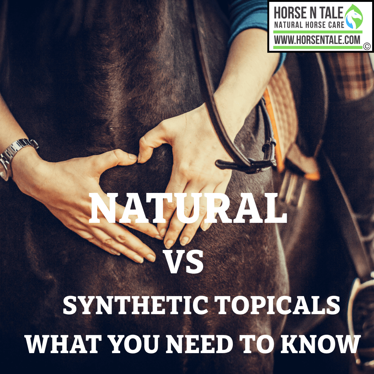 horse hooves, horse hooves conditioning, horse hooves conditioning spray, Hoof, Hoof Conditioner, HoofeZ, horse hooves, horse hooves conditioning, horse hooves conditioning spray, horse hooves, horse hooves conditioning, Hoof, horses hooves, hooves, hooves, Horse hooves, horse hoof, Hoof conditioner, Horse N Tale, Horse n Tale Topical Equine Products, topical equine products, natural horse care, horse supplies, Horse products, Horse n tale, topical equine products, natural horse care, horse products, horse supplies, topical equine products, natural products, botanical products, Horse N Tale, Horse n Tale Topical Equine Products, topical equine products, natural horse care, horse supplies, Horse products, natural ingredients, natural ingredients as nature intended, natural equine products, Hoof Eez, hoof care, hoof product, equine hoof care, horse hoof product, hoof care, hoof care product, horse rider, equestrian, barrel racer, arthritis pain product, hoof conditioner, all natural hoof care, All Natural Equine Hoof Care, all natural, all natural hoof care conditioner, all natural equine hoof care conditioner, equine hoof, horse hoof, all natural equine hoof care and conditioner, Hoof Eez, Hoof Care, Equine Hoof, Hoof Product, Equine Hoof Spray, Horse Hoof, Horse N Tale, Horse n Tale Topical Equine Products, topical equine products, natural horse care, horse supplies, Horse products, Horse n tale, topical equine products, natural horse care, horse products, horse supplies, topical equine products, natural products, botanical products, Horse N Tale, Horse n Tale Topical Equine Products, topical equine products, natural horse care, horse supplies, Horse products, natural ingredients, natural ingredients as nature intended, Hoof conditioner, all natural equine hoof care conditioner, Horse N Tale, Horse n Tale Topical Equine Products, topical equine products, natural horse care, horse supplies, Horse products, Horse n tale, topical equine products, natural horse care, horse products, horse supplies, topical equine products, natural products, botanical products, Horse N Tale, Horse n Tale Topical Equine Products, topical equine products, natural horse care, horse supplies, Horse products, natural ingredients, natural ingredients as nature intended, natural equine products, Hoof Eez, hoof care, hoof product, equine hoof care, horse hoof product, hoof care, hoof care product, horse rider, equestrian, barrel racer, arthritis pain product, hoof conditioner, all natural hoof care, All Natural Equine Hoof Care, all natural, all natural hoof care conditioner, Hoofeez, hoof eez, hoofeez, Hoof Eez, Hoof EeZ, Hoof Eez, Hoof, horses hooves, hooves, hooves, Horse hooves, horse hoof, Hoof conditioner, Horse N Tale, Horse n Tale Topical Equine Products, topical equine products, natural horse care, horse supplies, Horse products, Horse n tale, topical equine products, natural horse care, horse products, horse supplies, topical equine products, natural products, botanical products, Horse N Tale, Horse n Tale Topical Equine Products, topical equine products, natural horse care, horse supplies, Horse products, natural ingredients, natural ingredients as nature intended, natural equine products, Hoof Eez, hoof care, hoof product, equine hoof care, horse hoof product, hoof care, hoof care product, horse rider, equestrian, barrel racer, arthritis pain product, hoof conditioner, all natural hoof care, All Natural Equine Hoof Care, all natural, all natural hoof care conditioner, all natural equine hoof care conditioner, equine hoof, horse hoof, all natural equine hoof care and conditioner, Hoof Eez, Hoof Care, Equine Hoof, Hoof Product, Equine Hoof Spray, Horse Hoof, Horse N Tale, Horse n Tale Topical Equine Products, topical equine products, natural horse care, horse supplies, Horse products, Horse n tale, topical equine products, natural horse care, horse products, horse supplies, topical equine products, natural products, botanical products, Horse N Tale, Horse n Tale Topical Equine Products, topical equine products, natural horse care, horse supplies, Horse products, natural ingredients, natural ingredients as nature intended, Hoof conditioner, all natural equine hoof care conditioner, Horse N Tale, Horse n Tale Topical Equine Products, topical equine products, natural horse care, horse supplies, Horse products, Horse n tale, topical equine products, natural horse care, horse products, horse supplies, topical equine products, natural products, botanical products, Horse N Tale, Horse n Tale Topical Equine Products, topical equine products, natural horse care, horse supplies, Horse products, natural ingredients, natural ingredients as nature intended, natural equine products, Hoof Eez, hoof care, hoof product, equine hoof care, horse hoof product, hoof care, hoof care product, horse rider, equestrian, barrel racer, arthritis pain product, hoof conditioner, all natural hoof care, All Natural Equine Hoof Care, all natural, all natural hoof care conditioner, Hoof, horses hooves, hooves, hooves, Horse hooves, horse hoof, Hoof conditioner, Horse N Tale, Horse n Tale Topical Equine Products, topical equine products, natural horse care, horse supplies, Horse products, Horse n tale, topical equine products, natural horse care, horse products, horse supplies, topical equine products, natural products, botanical products, Horse N Tale, Horse n Tale Topical Equine Products, topical equine products, natural horse care, horse supplies, Horse products, natural ingredients, natural ingredients as nature intended, natural equine products, Hoof Eez, hoof care, hoof product, equine hoof care, horse hoof product, hoof care, hoof care product, horse rider, equestrian, barrel racer, arthritis pain product, hoof conditioner, all natural hoof care, All Natural Equine Hoof Care, all natural, all natural hoof care conditioner, all natural equine hoof care conditioner, equine hoof, horse hoof, all natural equine hoof care and conditioner, Hoof Eez, Hoof Care, Equine Hoof, Hoof Product, Equine Hoof Spray, Horse Hoof, Horse N Tale, Horse n Tale Topical Equine Products, topical equine products, natural horse care, horse supplies, Horse products, Horse n tale, topical equine products, natural horse care, horse products, horse supplies, topical equine products, natural products, botanical products, Horse N Tale, Horse n Tale Topical Equine Products, topical equine products, natural horse care, horse supplies, Horse products, natural ingredients, natural ingredients as nature intended, Hoof conditioner, all natural equine hoof care conditioner, Horse N Tale, Horse n Tale Topical Equine Products, topical equine products, natural horse care, horse supplies, Horse products, Horse n tale, topical equine products, natural horse care, horse products, horse supplies, topical equine products, natural products, botanical products, Horse N Tale, Horse n Tale Topical Equine Products, topical equine products, natural horse care, horse supplies, Horse products, natural ingredients, natural ingredients as nature intended, natural equine products, Hoof Eez, hoof care, hoof product, equine hoof care, horse hoof product, hoof care, hoof care product, horse rider, equestrian, barrel racer, arthritis pain product, hoof conditioner, all natural hoof care, All Natural Equine Hoof Care, all natural, all natural hoof care conditioner, Hoof, horses hooves, hooves, hooves, Horse hooves, horse hoof, Hoof conditioner, Horse N Tale, Horse n Tale Topical Equine Products, topical equine products, natural horse care, horse supplies, Horse products, Horse n tale, topical equine products, natural horse care, horse products, horse supplies, topical equine products, natural products, botanical products, Horse N Tale, Horse n Tale Topical Equine Products, topical equine products, natural horse care, horse supplies, Horse products, natural ingredients, natural ingredients as nature intended, natural equine products, Hoof Eez, hoof care, hoof product, equine hoof care, horse hoof product, hoof care, hoof care product, horse rider, equestrian, barrel racer, arthritis pain product, hoof conditioner, all natural hoof care, All Natural Equine Hoof Care, all natural, all natural hoof care conditioner, all natural equine hoof care conditioner, equine hoof, horse hoof, all natural equine hoof care and conditioner, Hoof Eez, Hoof Care, Equine Hoof, Hoof Product, Equine Hoof Spray, Horse Hoof, Horse N Tale, Horse n Tale Topical Equine Products, topical equine products, natural horse care, horse supplies, Horse products, Horse n tale, topical equine products, natural horse care, horse products, horse supplies, topical equine products, natural products, botanical products, Horse N Tale, Horse n Tale Topical Equine Products, topical equine products, natural horse care, horse supplies, Horse products, natural ingredients, natural ingredients as nature intended, Hoof conditioner, all natural equine hoof care conditioner, Horse N Tale, Horse n Tale Topical Equine Products, topical equine products, natural horse care, horse supplies, Horse products, Horse n tale, topical equine products, natural horse care, horse products, horse supplies, topical equine products, natural products, botanical products, Horse N Tale, Horse n Tale Topical Equine Products, topical equine products, natural horse care, horse supplies, Horse products, natural ingredients, natural ingredients as nature intended, natural equine products, Hoof Eez, hoof care, hoof product, equine hoof care, horse hoof product, hoof care, hoof care product, horse rider, equestrian, barrel racer, hoof conditioner, all natural hoof care, All Natural Equine Hoof Care, all natural, all natural hoof care conditioner, Hoof conditioner, Horse N Tale, Horse n Tale Topical Equine Products, topical equine products, natural horse care, horse supplies, Horse products, Horse n tale, topical equine products, natural horse care, horse products, horse supplies, topical equine products, natural products, botanical products, Horse N Tale, Horse n Tale Topical Equine Products, topical equine products, natural horse care, horse supplies, Horse products, natural ingredients, natural ingredients as nature intended, natural equine products, Hoof Eez, hoof care, hoof product, equine hoof care, horse hoof product, hoof care, hoof care product, horse rider, equestrian, barrel racer, arthritis pain product, hoof conditioner, all natural hoof care, All Natural Equine Hoof Care, all natural, all natural hoof care conditioner, all natural equine hoof care conditioner, equine hoof, horse hoof, all natural equine hoof care and conditioner, Hoof Eez, Hoof Care, Equine Hoof, Hoof Product, Equine Hoof Spray, Horse Hoof, Horse N Tale, Horse n Tale Topical Equine Products, topical equine products, natural horse care, horse supplies, Horse products, Horse n tale, topical equine products, natural horse care, horse products, horse supplies, topical equine products, natural products, botanical products, Horse N Tale, Horse n Tale Topical Equine Products, topical equine products, natural horse care, horse supplies, Horse products, natural ingredients, natural ingredients as nature intended, hooves, Horse hooves, horse hoof, hooves, Hoof conditioner, horse hooves, horse hooves conditioning, horse hooves conditioning spray, Ache Away, Breathe Ez, Heal Ez, Knot Ez Tags: Ache Away, Ache Away Double Action Liniment, Ache Away Horse Liniment, Ache Away horse liniment gel, ache away magic mud, all natural ingredients, anti-inflammatory cream for horses, anti-inflammatory for horses, antiseptic cream for horses, aromatherapy, aromatic, Arthritis Ez, Arthritis Pain, ArthritisEz, barn bundle, Barrel Horse, barrel horse riders, barrel racing, Behavior Balance Ez, best horse detangler, best horse liniment for humans, best mane and tail detangler for horses, best ointment for horse wounds, best wound care for horses, botanical products, breathe easy for horses, Breathe Ez, Breathe Ez for Horse, breathe ez for horses, breathe ez horse liniment breathe ez horse liniment, breathe ez horse roll on, breathe ez roll on, breathe eze for horses, BreatheEz Respiratory support, BreathEz, breathing difficulties, breathing horses, buddy sour, buddy sour horses, bundles, calming a horse, cut, cut and heal for horses, cuts, diy horse detangler, double action, double action gel, double action liniment, Double action liniment gel, double action liniment gel rub, double action rub, equine, Equine aromatherapy, Equine Arthritis, Equine arthritis Pain, equine arthritis pain product, Equine Arthritis Product, equine athlete, equine athletes, Equine Behavior, equine behavior modification, equine behavior problems, Equine Behavior Product, Equine Behavior Product Moodz, equine behavior products, equine breathing, equine breathing difficulties, equine breathing treatment, equine conditioner, equine congestion, equine cough, equine cough and congestion, equine essential care bundle, Equine exercise liniment rub, equine holistic products, Equine Joint Pain, Equine Joint Product, Equine Joints, equine leg and muscle rub, equine liniment rub, equine muscle, equine muscle pain, equine muscle rub, equine pain, equine pain product, Equine Pain Relief, Equine Pain Relief Horse N Tale, equine performance bundle, Equine Respiratory, equine respiratory product, EQUINE RESPIRATORY SUPPORT, equine respiratory support liniment, equine respiratory support product, equine respiratory support products, Equine Respiratory Support Spray, equine shampoo, Equine shampoo and conditioner, Equine wound, equine wound care, Equine Wound Care Heal Ez, equine wound care products, equine wound management, equine wound product, equine wound spray, essential horse bundle, essential horse care bundle, ExerciseEz, gel, Grooming, grooming products, Heal Ez, HealEz wound spray, herbs for horses breathe, holistic, holistic products, homemade horse detangler, horse and mane detangler, horse and tail shampoo, horse arthritis, horse arthritis and pain relief, horse balance, horse behavior Buddy Ez, horse behavior Calm Eez, horse behavior Confidence Ez, horse breathing, horse breathing heavy, horse breathing treatments, horse bundle, Horse Conditioner, horse confidence, Horse Detangler, horse detangler spray, horse exercise rub, horse gel for pain, horse grooming, horse grooming products, horse grooming products Grooming, horse hair detangler, horse joint rub, Horse liniment, Horse Liniment Ache Away, horse liniment for human use, horse liniment gel, horse liniment gel for humans, horse liniment spray, Horse Mane and Tail, horse mane and tail detangle, horse mane detangler, horse mane shampoo, horse manes, horse manes and tail, horse muscle rub, horse n tail calming shampoo, Horse N Tale, Horse N Tale Ache Away, horse n tale breathe ez spray, Horse N Tale ExerciseEz, Horse N Tale Horse Rub, Horse N Tale liniment gel, Horse n Tale Natural Horse Care, horse n tale pain ez, horse n tale painez, horse n tale product bundle, Horse N Tale rub, horse n tale shampoo, Horse N Tale SIBRA Easter Giveaway, Horse n tale topical equine products, Horse n Tale Topical Equine Products Natural Horse Care for Equine Athletes, horse n teal, horse noisy breathing, horse oil muscle rub, horse ointment for cuts, horse pain, horse pain ointment, horse pain relief arthritis, horse post exercise rub, horse pre exercise rub, horse product, horse product bundle, horse products, horse rapid shallow breathing, horse rub, horse rub for humans, horse rub for pain, horse rub for sore joints, horse rub for sore muscles, horse shampoo, Horse Shampoo and Conditioner, horse shampoo for hair growth, horse supplies, horse wound, horse wound care, horse wound care products, horse wound care spray, horse wound healing, horse wound ointment, horse wound spray, horse wound treatment, horsentale, horses with heaves breathing, Joint Ez, Joint Pain, JointEz, Knot Ez, Knot Ez Mane and Tail, KnotEz mane & Tail Detangler, labored breathing in horses, liniment, liniment gel, liniment rub for horses, liniment spray, magic mud, mane & tail detangler, Mane and Tail, mane and tail detangeler, mane and tail detangle, mane and tail detangler, mane and tail detangler for horses, mane and tail detangler for humans, mane and tail detangler near me, mane and tail detangler spray, mane and tail horse shampoo, mane and tail spray, mane detangler, mane n tail detangler, mane n tail detangler extreme, mane n tail detangler review, mane n tail detangler spray, mane n tail spray, mood mare, moody mare, moody mare product Stubborn Ez, moodz moody mare, muscle pain, muscle product, Muscle relief, muscle rub for horses, Muscle soreness pain relief, natural equine products, Natural Horse, natural horse care, Natural Horse Care News, natural horse care store, natural horse for equine athletes, natural ingredients, natural ingredients as nature intended, natural ingredients as nature intended Arthritis, natural products, Pain Ez, Pain Relief, pain rub for horses, Ache Away, painez, painez horse rub, Post exercise liniment rub, post workout rub, pre and post exercise rub, pre and post workout gel, pre and post workout rub, pre workout rub, respiratory, respiratory liniment, respiratory product, respiratory spray, respiratory support, shampoo, Shampoo & Conditioner, sibra, sore muscle rub for horses, sore muscles, spray for horses wounds, stable starter bundle, topical anti-inflammatory for horses, topical equine products, veterinary liniment, veterinary liniment gel, warming and cooling effect, Wash Eez, Wash eez Equine Shampoo, Wash eez Equine Shampoo Edit, wound, Wound care, wound care equine, wound care for horses legs, wound care products, wound cream for horses, Ache Away, BreatheEz, HealEz, KnotEz, Ache Away, Ache Away Double Action Liniment, Ache Away Horse Liniment, Ache Away horse liniment gel, ache away magic mud, all natural ingredients, anti-inflammatory cream for horses, anti-inflammatory for horses, antiseptic cream for horses, aromatherapy, aromatic, Arthritis Ez, Arthritis Pain, ArthritisEz, barn bundle, Barrel Horse, barrel horse riders, barrel racing, Behavior Balance Ez, best horse detangler, best horse liniment for humans, best mane and tail detangler for horses, best ointment for horse wounds, best wound care for horses, botanical products, breathe easy for horses, Breathe Ez, Breathe Ez for Horse, breathe ez for horses, breathe ez horse liniment breathe ez horse liniment, breathe ez horse roll on, breathe ez roll on, breathe eze for horses, BreatheEz Respiratory support, BreathEz, breathing difficulties, breathing horses, buddy sour, buddy sour horses, bundles, calming a horse, cut, cut and heal for horses, cuts, diy horse detangler, double action, double action gel, double action liniment, Double action liniment gel, double action liniment gel rub, double action rub, equine, Equine aromatherapy, Equine Arthritis, Equine arthritis Pain, equine arthritis pain product, Equine Arthritis Product, equine athlete, equine athletes, Equine Behavior, equine behavior modification, equine behavior problems, Equine Behavior Product, Equine Behavior Product Moodz, equine behavior products, equine breathing, equine breathing difficulties, equine breathing treatment, equine conditioner, equine congestion, equine cough, equine cough and congestion, equine essential care bundle, Equine exercise liniment rub, equine holistic products, Equine Joint Pain, Equine Joint Product, Equine Joints, equine leg and muscle rub, equine liniment rub, equine muscle, equine muscle pain, equine muscle rub, equine pain, equine pain product, Equine Pain Relief, Equine Pain Relief Horse N Tale, equine performance bundle, Equine Respiratory, equine respiratory product, EQUINE RESPIRATORY SUPPORT, equine respiratory support liniment, equine respiratory support product, equine respiratory support products, Equine Respiratory Support Spray, equine shampoo, Equine shampoo and conditioner, Equine wound, equine wound care, Equine Wound Care Heal Ez, equine wound care products, equine wound management, equine wound product, equine wound spray, essential horse bundle, essential horse care bundle, ExerciseEz, gel, Grooming, grooming products, Heal Ez, HealEz wound spray, herbs for horses breathe, holistic, holistic products, homemade horse detangler, horse and mane detangler, horse and tail shampoo, horse arthritis, horse arthritis and pain relief, horse balance, horse behavior Buddy Ez, horse behavior Calm Eez, horse behavior Confidence Ez, horse breathing, horse breathing heavy, horse breathing treatments, horse bundle, Horse Conditioner, horse confidence, Horse Detangler, horse detangler spray, horse exercise rub, horse gel for pain, horse grooming, horse grooming products, horse grooming products Grooming, horse hair detangler, horse joint rub, Horse liniment, Horse Liniment Ache Away, horse liniment for human use, horse liniment gel, horse liniment gel for humans, horse liniment spray, Horse Mane and Tail, horse mane and tail detangle, horse mane detangler, horse mane shampoo, horse manes, horse manes and tail, horse muscle rub, horse n tail calming shampoo, Horse N Tale, Horse N Tale Ache Away, horse n tale breathe ez spray, Horse N Tale ExerciseEz, Horse N Tale Horse Rub, Horse N Tale liniment gel, Horse n Tale Natural Horse Care, horse n tale pain ez, horse n tale painez, horse n tale product bundle, Horse N Tale rub, horse n tale shampoo, Horse N Tale SIBRA Easter Giveaway, Horse n tale topical equine products, Horse n Tale Topical Equine Products Natural Horse Care for Equine Athletes, horse n teal, horse noisy breathing, horse oil muscle rub, horse ointment for cuts, horse pain, horse pain ointment, horse pain relief arthritis, horse post exercise rub, horse pre exercise rub, horse product, horse product bundle, horse products, horse rapid shallow breathing, horse rub, horse rub for humans, horse rub for pain, horse rub for sore joints, horse rub for sore muscles, horse shampoo, Horse Shampoo and Conditioner, horse shampoo for hair growth, horse supplies, horse wound, horse wound care, horse wound care products, horse wound care spray, horse wound healing, horse wound ointment, horse wound spray, horse wound treatment, horsentale, horses with heaves breathing, Joint Ez, Joint Pain, JointEz, Knot Ez, Knot Ez Mane and Tail, KnotEz mane & Tail Detangler, labored breathing in horses, liniment, liniment gel, liniment rub for horses, liniment spray, magic mud, mane & tail detangler, Mane and Tail, mane and tail detangeler, mane and tail detangle, mane and tail detangler, mane and tail detangler for horses, mane and tail detangler for humans, mane and tail detangler near me, mane and tail detangler spray, mane and tail horse shampoo, mane and tail spray, mane detangler, mane n tail detangler, mane n tail detangler extreme, mane n tail detangler review, mane n tail detangler spray, mane n tail spray, mood mare, moody mare, moody mare product Stubborn Ez, moodz moody mare, muscle pain, muscle product, Muscle relief, muscle rub for horses, Muscle soreness pain relief, natural equine products, Natural Horse, natural horse care, Natural Horse Care News, natural horse care store, natural horse for equine athletes, natural ingredients, natural ingredients as nature intended, natural ingredients as nature intended Arthritis, natural products, Pain Ez, Pain Relief, pain rub for horses, Pain Tags: Ache Away, painez, painez horse rub, Post exercise liniment rub, post workout rub, pre and post exercise rub, pre and post workout gel, pre and post workout rub, pre workout rub, respiratory, respiratory liniment, respiratory product, respiratory spray, respiratory support, shampoo, Shampoo & Conditioner, sibra, sore muscle rub for horses, sore muscles, spray for horses wounds, stable starter bundle, topical anti-inflammatory for horses, topical equine products, veterinary liniment, veterinary liniment gel, warming and cooling effect, Wash Eez, Wash eez Equine Shampoo, Wash eez Equine Shampoo Edit, wound, Wound care, wound care equine, wound care for horses legs, wound care products, wound cream for horses www.horsentale.com, horse hooves, horse hooves conditioning, horse hooves conditioning spray, Hoof, Hoof Conditioner, HoofeZ, horse hooves, horse hooves conditioning, horse hooves conditioning spray, horse hooves, horse hooves conditioning, Hoof, horses hooves, hooves, hooves, Horse hooves, horse hoof, Hoof conditioner, Horse N Tale, Horse n Tale Topical Equine Products, topical equine products, natural horse care, horse supplies, Horse products, Horse n tale, topical equine products, natural horse care, horse products, horse supplies, topical equine products, natural products, botanical products, Horse N Tale, Horse n Tale Topical Equine Products, topical equine products, natural horse care, horse supplies, Horse products, natural ingredients, natural ingredients as nature intended, natural equine products, Hoof Eez, hoof care, hoof product, equine hoof care, horse hoof product, hoof care, hoof care product, horse rider, equestrian, barrel racer, arthritis pain product, hoof conditioner, all natural hoof care, All Natural Equine Hoof Care, all natural, all natural hoof care conditioner, all natural equine hoof care conditioner, equine hoof, horse hoof, all natural equine hoof care and conditioner, Hoof Eez, Hoof Care, Equine Hoof, Hoof Product, Equine Hoof Spray, Horse Hoof, Horse N Tale, Horse n Tale Topical Equine Products, topical equine products, natural horse care, horse supplies, Horse products, Horse n tale, topical equine products, natural horse care, horse products, horse supplies, topical equine products, natural products, botanical products, Horse N Tale, Horse n Tale Topical Equine Products, topical equine products, natural horse care, horse supplies, Horse products, natural ingredients, natural ingredients as nature intended, Hoof conditioner, all natural equine hoof care conditioner, Horse N Tale, Horse n Tale Topical Equine Products, topical equine products, natural horse care, horse supplies, Horse products, Horse n tale, topical equine products, natural horse care, horse products, horse supplies, topical equine products, natural products, botanical products, Horse N Tale, Horse n Tale Topical Equine Products, topical equine products, natural horse care, horse supplies, Horse products, natural ingredients, natural ingredients as nature intended, natural equine products, Hoof Eez, hoof care, hoof product, equine hoof care, horse hoof product, hoof care, hoof care product, horse rider, equestrian, barrel racer, arthritis pain product, hoof conditioner, all natural hoof care, All Natural Equine Hoof Care, all natural, all natural hoof care conditioner, Hoofeez, hoof eez, hoofeez, Hoof Eez, Hoof EeZ, Hoof Eez, Hoof, horses hooves, hooves, hooves, Horse hooves, horse hoof, Hoof conditioner, Horse N Tale, Horse n Tale Topical Equine Products, topical equine products, natural horse care, horse supplies, Horse products, Horse n tale, topical equine products, natural horse care, horse products, horse supplies, topical equine products, natural products, botanical products, Horse N Tale, Horse n Tale Topical Equine Products, topical equine products, natural horse care, horse supplies, Horse products, natural ingredients, natural ingredients as nature intended, natural equine products, Hoof Eez, hoof care, hoof product, equine hoof care, horse hoof product, hoof care, hoof care product, horse rider, equestrian, barrel racer, arthritis pain product, hoof conditioner, all natural hoof care, All Natural Equine Hoof Care, all natural, all natural hoof care conditioner, all natural equine hoof care conditioner, equine hoof, horse hoof, all natural equine hoof care and conditioner, Hoof Eez, Hoof Care, Equine Hoof, Hoof Product, Equine Hoof Spray, Horse Hoof, Horse N Tale, Horse n Tale Topical Equine Products, topical equine products, natural horse care, horse supplies, Horse products, Horse n tale, topical equine products, natural horse care, horse products, horse supplies, topical equine products, natural products, botanical products, Horse N Tale, Horse n Tale Topical Equine Products, topical equine products, natural horse care, horse supplies, Horse products, natural ingredients, natural ingredients as nature intended, Hoof conditioner, all natural equine hoof care conditioner, Horse N Tale, Horse n Tale Topical Equine Products, topical equine products, natural horse care, horse supplies, Horse products, Horse n tale, topical equine products, natural horse care, horse products, horse supplies, topical equine products, natural products, botanical products, Horse N Tale, Horse n Tale Topical Equine Products, topical equine products, natural horse care, horse supplies, Horse products, natural ingredients, natural ingredients as nature intended, natural equine products, Hoof Eez, hoof care, hoof product, equine hoof care, horse hoof product, hoof care, hoof care product, horse rider, equestrian, barrel racer, arthritis pain product, hoof conditioner, all natural hoof care, All Natural Equine Hoof Care, all natural, all natural hoof care conditioner, Hoof, horses hooves, hooves, hooves, Horse hooves, horse hoof, Hoof conditioner, Horse N Tale, Horse n Tale Topical Equine Products, topical equine products, natural horse care, horse supplies, Horse products, Horse n tale, topical equine products, natural horse care, horse products, horse supplies, topical equine products, natural products, botanical products, Horse N Tale, Horse n Tale Topical Equine Products, topical equine products, natural horse care, horse supplies, Horse products, natural ingredients, natural ingredients as nature intended, natural equine products, Hoof Eez, hoof care, hoof product, equine hoof care, horse hoof product, hoof care, hoof care product, horse rider, equestrian, barrel racer, arthritis pain product, hoof conditioner, all natural hoof care, All Natural Equine Hoof Care, all natural, all natural hoof care conditioner, all natural equine hoof care conditioner, equine hoof, horse hoof, all natural equine hoof care and conditioner, Hoof Eez, Hoof Care, Equine Hoof, Hoof Product, Equine Hoof Spray, Horse Hoof, Horse N Tale, Horse n Tale Topical Equine Products, topical equine products, natural horse care, horse supplies, Horse products, Horse n tale, topical equine products, natural horse care, horse products, horse supplies, topical equine products, natural products, botanical products, Horse N Tale, Horse n Tale Topical Equine Products, topical equine products, natural horse care, horse supplies, Horse products, natural ingredients, natural ingredients as nature intended, Hoof conditioner, all natural equine hoof care conditioner, Horse N Tale, Horse n Tale Topical Equine Products, topical equine products, natural horse care, horse supplies, Horse products, Horse n tale, topical equine products, natural horse care, horse products, horse supplies, topical equine products, natural products, botanical products, Horse N Tale, Horse n Tale Topical Equine Products, topical equine products, natural horse care, horse supplies, Horse products, natural ingredients, natural ingredients as nature intended, natural equine products, Hoof Eez, hoof care, hoof product, equine hoof care, horse hoof product, hoof care, hoof care product, horse rider, equestrian, barrel racer, arthritis pain product, hoof conditioner, all natural hoof care, All Natural Equine Hoof Care, all natural, all natural hoof care conditioner, Hoof, horses hooves, hooves, hooves, Horse hooves, horse hoof, Hoof conditioner, Horse N Tale, Horse n Tale Topical Equine Products, topical equine products, natural horse care, horse supplies, Horse products, Horse n tale, topical equine products, natural horse care, horse products, horse supplies, topical equine products, natural products, botanical products, Horse N Tale, Horse n Tale Topical Equine Products, topical equine products, natural horse care, horse supplies, Horse products, natural ingredients, natural ingredients as nature intended, natural equine products, Hoof Eez, hoof care, hoof product, equine hoof care, horse hoof product, hoof care, hoof care product, horse rider, equestrian, barrel racer, arthritis pain product, hoof conditioner, all natural hoof care, All Natural Equine Hoof Care, all natural, all natural hoof care conditioner, all natural equine hoof care conditioner, equine hoof, horse hoof, all natural equine hoof care and conditioner, Hoof Eez, Hoof Care, Equine Hoof, Hoof Product, Equine Hoof Spray, Horse Hoof, Horse N Tale, Horse n Tale Topical Equine Products, topical equine products, natural horse care, horse supplies, Horse products, Horse n tale, topical equine products, natural horse care, horse products, horse supplies, topical equine products, natural products, botanical products, Horse N Tale, Horse n Tale Topical Equine Products, topical equine products, natural horse care, horse supplies, Horse products, natural ingredients, natural ingredients as nature intended, Hoof conditioner, all natural equine hoof care conditioner, Horse N Tale, Horse n Tale Topical Equine Products, topical equine products, natural horse care, horse supplies, Horse products, Horse n tale, topical equine products, natural horse care, horse products, horse supplies, topical equine products, natural products, botanical products, Horse N Tale, Horse n Tale Topical Equine Products, topical equine products, natural horse care, horse supplies, Horse products, natural ingredients, natural ingredients as nature intended, natural equine products, Hoof Eez, hoof care, hoof product, equine hoof care, horse hoof product, hoof care, hoof care product, horse rider, equestrian, barrel racer, hoof conditioner, all natural hoof care, All Natural Equine Hoof Care, all natural, all natural hoof care conditioner, Hoof conditioner, Horse N Tale, Horse n Tale Topical Equine Products, topical equine products, natural horse care, horse supplies, Horse products, Horse n tale, topical equine products, natural horse care, horse products, horse supplies, topical equine products, natural products, botanical products, Horse N Tale, Horse n Tale Topical Equine Products, topical equine products, natural horse care, horse supplies, Horse products, natural ingredients, natural ingredients as nature intended, natural equine products, Hoof Eez, hoof care, hoof product, equine hoof care, horse hoof product, hoof care, hoof care product, horse rider, equestrian, barrel racer, arthritis pain product, hoof conditioner, all natural hoof care, All Natural Equine Hoof Care, all natural, all natural hoof care conditioner, all natural equine hoof care conditioner, equine hoof, horse hoof, all natural equine hoof care and conditioner, Hoof Eez, Hoof Care, Equine Hoof, Hoof Product, Equine Hoof Spray, Horse Hoof, Horse N Tale, Horse n Tale Topical Equine Products, topical equine products, natural horse care, horse supplies, Horse products, Horse n tale, topical equine products, natural horse care, horse products, horse supplies, topical equine products, natural products, botanical products, Horse N Tale, Horse n Tale Topical Equine Products, topical equine products, natural horse care, horse supplies, Horse products, natural ingredients, natural ingredients as nature intended, hooves, Horse hooves, horse hoof, hooves, Hoof conditioner, horse hooves, horse hooves conditioning, horse hooves conditioning spray, Ache Away, Breathe Ez, Heal Ez, Knot Ez Tags: Ache Away, Ache Away Double Action Liniment, Ache Away Horse Liniment, Ache Away horse liniment gel, ache away magic mud, all natural ingredients, anti-inflammatory cream for horses, anti-inflammatory for horses, antiseptic cream for horses, aromatherapy, aromatic, Arthritis Ez, Arthritis Pain, ArthritisEz, barn bundle, Barrel Horse, barrel horse riders, barrel racing, Behavior Balance Ez, best horse detangler, best horse liniment for humans, best mane and tail detangler for horses, best ointment for horse wounds, best wound care for horses, botanical products, breathe easy for horses, Breathe Ez, Breathe Ez for Horse, breathe ez for horses, breathe ez horse liniment breathe ez horse liniment, breathe ez horse roll on, breathe ez roll on, breathe eze for horses, BreatheEz Respiratory support, BreathEz, breathing difficulties, breathing horses, buddy sour, buddy sour horses, bundles, calming a horse, cut, cut and heal for horses, cuts, diy horse detangler, double action, double action gel, double action liniment, Double action liniment gel, double action liniment gel rub, double action rub, equine, Equine aromatherapy, Equine Arthritis, Equine arthritis Pain, equine arthritis pain product, Equine Arthritis Product, equine athlete, equine athletes, Equine Behavior, equine behavior modification, equine behavior problems, Equine Behavior Product, Equine Behavior Product Moodz, equine behavior products, equine breathing, equine breathing difficulties, equine breathing treatment, equine conditioner, equine congestion, equine cough, equine cough and congestion, equine essential care bundle, Equine exercise liniment rub, equine holistic products, Equine Joint Pain, Equine Joint Product, Equine Joints, equine leg and muscle rub, equine liniment rub, equine muscle, equine muscle pain, equine muscle rub, equine pain, equine pain product, Equine Pain Relief, Equine Pain Relief Horse N Tale, equine performance bundle, Equine Respiratory, equine respiratory product, EQUINE RESPIRATORY SUPPORT, equine respiratory support liniment, equine respiratory support product, equine respiratory support products, Equine Respiratory Support Spray, equine shampoo, Equine shampoo and conditioner, Equine wound, equine wound care, Equine Wound Care Heal Ez, equine wound care products, equine wound management, equine wound product, equine wound spray, essential horse bundle, essential horse care bundle, ExerciseEz, gel, Grooming, grooming products, Heal Ez, HealEz wound spray, herbs for horses breathe, holistic, holistic products, homemade horse detangler, horse and mane detangler, horse and tail shampoo, horse arthritis, horse arthritis and pain relief, horse balance, horse behavior Buddy Ez, horse behavior Calm Eez, horse behavior Confidence Ez, horse breathing, horse breathing heavy, horse breathing treatments, horse bundle, Horse Conditioner, horse confidence, Horse Detangler, horse detangler spray, horse exercise rub, horse gel for pain, horse grooming, horse grooming products, horse grooming products Grooming, horse hair detangler, horse joint rub, Horse liniment, Horse Liniment Ache Away, horse liniment for human use, horse liniment gel, horse liniment gel for humans, horse liniment spray, Horse Mane and Tail, horse mane and tail detangle, horse mane detangler, horse mane shampoo, horse manes, horse manes and tail, horse muscle rub, horse n tail calming shampoo, Horse N Tale, Horse N Tale Ache Away, horse n tale breathe ez spray, Horse N Tale ExerciseEz, Horse N Tale Horse Rub, Horse N Tale liniment gel, Horse n Tale Natural Horse Care, horse n tale pain ez, horse n tale painez, horse n tale product bundle, Horse N Tale rub, horse n tale shampoo, Horse N Tale SIBRA Easter Giveaway, Horse n tale topical equine products, Horse n Tale Topical Equine Products Natural Horse Care for Equine Athletes, horse n teal, horse noisy breathing, horse oil muscle rub, horse ointment for cuts, horse pain, horse pain ointment, horse pain relief arthritis, horse post exercise rub, horse pre exercise rub, horse product, horse product bundle, horse products, horse rapid shallow breathing, horse rub, horse rub for humans, horse rub for pain, horse rub for sore joints, horse rub for sore muscles, horse shampoo, Horse Shampoo and Conditioner, horse shampoo for hair growth, horse supplies, horse wound, horse wound care, horse wound care products, horse wound care spray, horse wound healing, horse wound ointment, horse wound spray, horse wound treatment, horsentale, horses with heaves breathing, Joint Ez, Joint Pain, JointEz, Knot Ez, Knot Ez Mane and Tail, KnotEz mane & Tail Detangler, labored breathing in horses, liniment, liniment gel, liniment rub for horses, liniment spray, magic mud, mane & tail detangler, Mane and Tail, mane and tail detangeler, mane and tail detangle, mane and tail detangler, mane and tail detangler for horses, mane and tail detangler for humans, mane and tail detangler near me, mane and tail detangler spray, mane and tail horse shampoo, mane and tail spray, mane detangler, mane n tail detangler, mane n tail detangler extreme, mane n tail detangler review, mane n tail detangler spray, mane n tail spray, mood mare, moody mare, moody mare product Stubborn Ez, moodz moody mare, muscle pain, muscle product, Muscle relief, muscle rub for horses, Muscle soreness pain relief, natural equine products, Natural Horse, natural horse care, Natural Horse Care News, natural horse care store, natural horse for equine athletes, natural ingredients, natural ingredients as nature intended, natural ingredients as nature intended Arthritis, natural products, Pain Ez, Pain Relief, pain rub for horses, Ache Away, painez, painez horse rub, Post exercise liniment rub, post workout rub, pre and post exercise rub, pre and post workout gel, pre and post workout rub, pre workout rub, respiratory, respiratory liniment, respiratory product, respiratory spray, respiratory support, shampoo, Shampoo & Conditioner, sibra, sore muscle rub for horses, sore muscles, spray for horses wounds, stable starter bundle, topical anti-inflammatory for horses, topical equine products, veterinary liniment, veterinary liniment gel, warming and cooling effect, Wash Eez, Wash eez Equine Shampoo, Wash eez Equine Shampoo Edit, wound, Wound care, wound care equine, wound care for horses legs, wound care products, wound cream for horses, Ache Away, BreatheEz, HealEz, KnotEz, Ache Away, Ache Away Double Action Liniment, Ache Away Horse Liniment, Ache Away horse liniment gel, ache away magic mud, all natural ingredients, anti-inflammatory cream for horses, anti-inflammatory for horses, antiseptic cream for horses, aromatherapy, aromatic, Arthritis Ez, Arthritis Pain, ArthritisEz, barn bundle, Barrel Horse, barrel horse riders, barrel racing, Behavior Balance Ez, best horse detangler, best horse liniment for humans, best mane and tail detangler for horses, best ointment for horse wounds, best wound care for horses, botanical products, breathe easy for horses, Breathe Ez, Breathe Ez for Horse, breathe ez for horses, breathe ez horse liniment breathe ez horse liniment, breathe ez horse roll on, breathe ez roll on, breathe eze for horses, BreatheEz Respiratory support, BreathEz, breathing difficulties, breathing horses, buddy sour, buddy sour horses, bundles, calming a horse, cut, cut and heal for horses, cuts, diy horse detangler, double action, double action gel, double action liniment, Double action liniment gel, double action liniment gel rub, double action rub, equine, Equine aromatherapy, Equine Arthritis, Equine arthritis Pain, equine arthritis pain product, Equine Arthritis Product, equine athlete, equine athletes, Equine Behavior, equine behavior modification, equine behavior problems, Equine Behavior Product, Equine Behavior Product Moodz, equine behavior products, equine breathing, equine breathing difficulties, equine breathing treatment, equine conditioner, equine congestion, equine cough, equine cough and congestion, equine essential care bundle, Equine exercise liniment rub, equine holistic products, Equine Joint Pain, Equine Joint Product, Equine Joints, equine leg and muscle rub, equine liniment rub, equine muscle, equine muscle pain, equine muscle rub, equine pain, equine pain product, Equine Pain Relief, Equine Pain Relief Horse N Tale, equine performance bundle, Equine Respiratory, equine respiratory product, EQUINE RESPIRATORY SUPPORT, equine respiratory support liniment, equine respiratory support product, equine respiratory support products, Equine Respiratory Support Spray, equine shampoo, Equine shampoo and conditioner, Equine wound, equine wound care, Equine Wound Care Heal Ez, equine wound care products, equine wound management, equine wound product, equine wound spray, essential horse bundle, essential horse care bundle, ExerciseEz, gel, Grooming, grooming products, Heal Ez, HealEz wound spray, herbs for horses breathe, holistic, holistic products, homemade horse detangler, horse and mane detangler, horse and tail shampoo, horse arthritis, horse arthritis and pain relief, horse balance, horse behavior Buddy Ez, horse behavior Calm Eez, horse behavior Confidence Ez, horse breathing, horse breathing heavy, horse breathing treatments, horse bundle, Horse Conditioner, horse confidence, Horse Detangler, horse detangler spray, horse exercise rub, horse gel for pain, horse grooming, horse grooming products, horse grooming products Grooming, horse hair detangler, horse joint rub, Horse liniment, Horse Liniment Ache Away, horse liniment for human use, horse liniment gel, horse liniment gel for humans, horse liniment spray, Horse Mane and Tail, horse mane and tail detangle, horse mane detangler, horse mane shampoo, horse manes, horse manes and tail, horse muscle rub, horse n tail calming shampoo, Horse N Tale, Horse N Tale Ache Away, horse n tale breathe ez spray, Horse N Tale ExerciseEz, Horse N Tale Horse Rub, Horse N Tale liniment gel, Horse n Tale Natural Horse Care, horse n tale pain ez, horse n tale painez, horse n tale product bundle, Horse N Tale rub, horse n tale shampoo, Horse N Tale SIBRA Easter Giveaway, Horse n tale topical equine products, Horse n Tale Topical Equine Products Natural Horse Care for Equine Athletes, horse n teal, horse noisy breathing, horse oil muscle rub, horse ointment for cuts, horse pain, horse pain ointment, horse pain relief arthritis, horse post exercise rub, horse pre exercise rub, horse product, horse product bundle, horse products, horse rapid shallow breathing, horse rub, horse rub for humans, horse rub for pain, horse rub for sore joints, horse rub for sore muscles, horse shampoo, Horse Shampoo and Conditioner, horse shampoo for hair growth, horse supplies, horse wound, horse wound care, horse wound care products, horse wound care spray, horse wound healing, horse wound ointment, horse wound spray, horse wound treatment, horsentale, horses with heaves breathing, Joint Ez, Joint Pain, JointEz, Knot Ez, Knot Ez Mane and Tail, KnotEz mane & Tail Detangler, labored breathing in horses, liniment, liniment gel, liniment rub for horses, liniment spray, magic mud, mane & tail detangler, Mane and Tail, mane and tail detangeler, mane and tail detangle, mane and tail detangler, mane and tail detangler for horses, mane and tail detangler for humans, mane and tail detangler near me, mane and tail detangler spray, mane and tail horse shampoo, mane and tail spray, mane detangler, mane n tail detangler, mane n tail detangler extreme, mane n tail detangler review, mane n tail detangler spray, mane n tail spray, mood mare, moody mare, moody mare product Stubborn Ez, moodz moody mare, muscle pain, muscle product, Muscle relief, muscle rub for horses, Muscle soreness pain relief, natural equine products, Natural Horse, natural horse care, Natural Horse Care News, natural horse care store, natural horse for equine athletes, natural ingredients, natural ingredients as nature intended, natural ingredients as nature intended Arthritis, natural products, Pain Ez, Pain Relief, pain rub for horses, Pain Tags: Ache Away, painez, painez horse rub, Post exercise liniment rub, post workout rub, pre and post exercise rub, pre and post workout gel, pre and post workout rub, pre workout rub, respiratory, respiratory liniment, respiratory product, respiratory spray, respiratory support, shampoo, Shampoo & Conditioner, sibra, sore muscle rub for horses, sore muscles, spray for horses wounds, stable starter bundle, topical anti-inflammatory for horses, topical equine products, veterinary liniment, veterinary liniment gel, warming and cooling effect, Wash Eez, Wash eez Equine Shampoo, Wash eez Equine Shampoo Edit, wound, Wound care, wound care equine, wound care for horses legs, wound care products, wound cream for horses, www.horsentale.com topical equine products, equine topical care, horse topical solutions, complete guide to topical equine products, benefits of topical equine products, horse liniment benefits, equine recovery products, best topical products for horse pain relief, natural vs synthetic equine topicals, natural horse care, herbal equine liniment, safe natural topical products for horses, equine poultice application, horse poultice safety, poultice under wraps, how to apply poultice to horse legs, topical equine products for barrel racers, rodeo horse recovery, barrel racing horse care, best topical products for rodeo horses, FAQs about topical equine products, horse topical care questions, equine product safety, are topical equine products safe for daily use