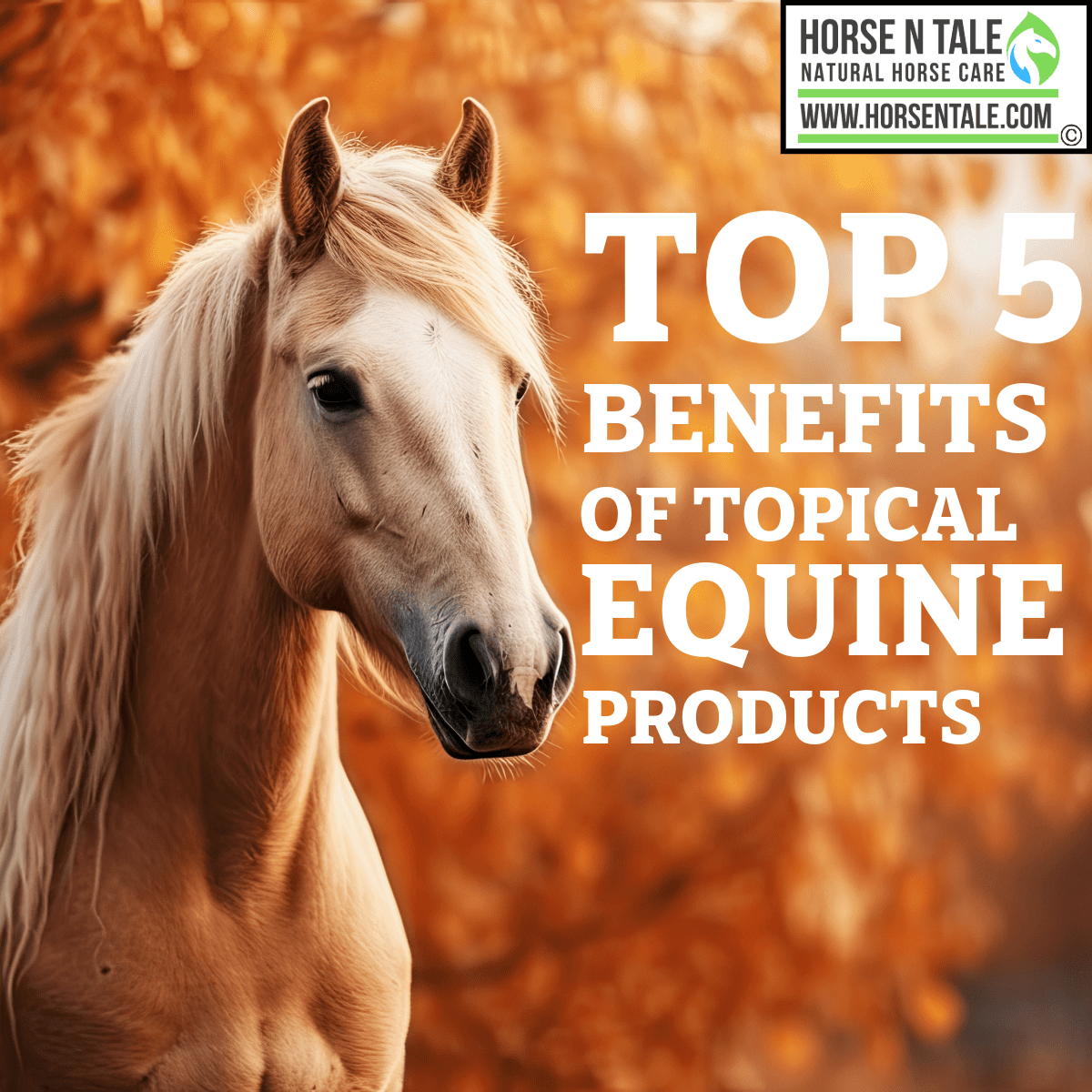 Horse n Tale, Holistic horse care solutions, Horse N Tale, Women's Barrel Racing, equine athlete, buy now, product exchange, product exchange, Mane & Tail Detangler, Horse hooves, Hoof Conditioner, Horse Muscle Pain, Equine muscle pain relief, Horse Muscle Pain Relief, Horse Joint Pain Relief, Joint Pain Relief for horses, Joint Pain Relief, Horse Shampoo and Conditioner, Horse N Tale, Horse n Tale Topical Equine Products, topical equine products, natural horse care, Horse products, Horse n tale, topical equine products, natural horse care, horse products, horse supplies, topical equine products, natural products, botanical products, Horse N Tale, Horse n Tale Topical Equine Products, topical equine products, natural horse care, horse supplies, Horse products, Natural horse care, natural horse care store, horse n tale topical equine products, natural horse for equine athletes, equine athlete, equine athletes, Horse N Tale, Horse n Tale Topical Equine Products, topical equine products, natural horse care, horse supplies, Horse products, Horse n tale, topical equine products, natural horse care, horse products, horse supplies, topical equine products, natural products, botanical products, Horse N Tale, Horse n Tale Topical Equine Products, topical equine products, natural horse care, horse supplies, Horse products, natural ingredients, natural ingredients as nature intended, Holistic horse care solutions, Natural, holistic equine products, Horse n Tale, Horse N Tale, Women's Barrel Racing, equine athlete, buy now, product exchange, product exchange, Mane & Tail Detangler, Horse hooves, Hoof Conditioner, Horse Muscle Pain, Equine muscle pain relief, Horse Muscle Pain Relief, Horse Joint Pain Relief, Joint Pain Relief for horses, Joint Pain Relief, Horse Shampoo and Conditioner, Horse N Tale, Horse n Tale Topical Equine Products, topical equine products, natural horse care, Horse products, Horse n tale, topical equine products, natural horse care, horse products, horse supplies, topical equine products, natural products, botanical products, Horse N Tale, Horse n Tale Topical Equine Products, topical equine products, natural horse care, horse supplies, Horse products, Natural horse care, natural horse care store, horse n tale topical equine products, natural horse for equine athletes, equine athlete, equine athletes, Horse N Tale, Horse n Tale Topical Equine Products, topical equine products, natural horse care, horse supplies, Horse products, Horse n tale, topical equine products, natural horse care, horse products, horse supplies, topical equine products, natural products, botanical products, Horse N Tale, Horse n Tale Topical Equine Products, topical equine products, natural horse care, horse supplies, Horse products, natural ingredients, natural ingredients as nature intended, www.horsentale.com topical equine products, equine topical care, horse topical solutions, complete guide to topical equine products, benefits of topical equine products, horse liniment benefits, equine recovery products, best topical products for horse pain relief, natural vs synthetic equine topicals, natural horse care, herbal equine liniment, safe natural topical products for horses, equine poultice application, horse poultice safety, poultice under wraps, how to apply poultice to horse legs, topical equine products for barrel racers, rodeo horse recovery, barrel racing horse care, best topical products for rodeo horses, FAQs about topical equine products, horse topical care questions, equine product safety, are topical equine products safe for daily use